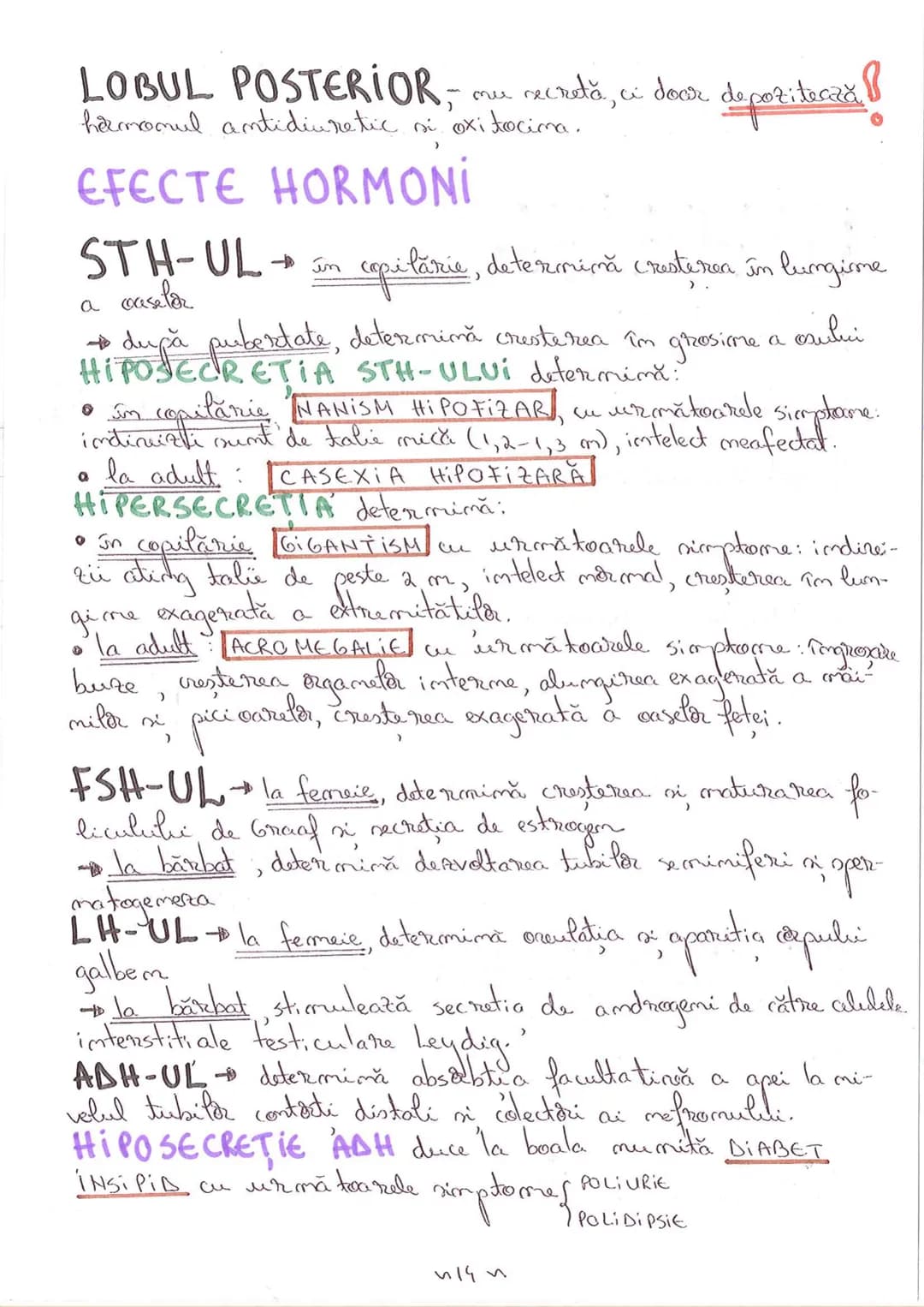 # SEGMENTELE CORPULUI UMAN
I CAP - alcătuit din
- NEUROCRANIU
- VISCEROCRANIU
II GÂT
III TRUNCHI format din
- TORACE
- ABDOMEN
