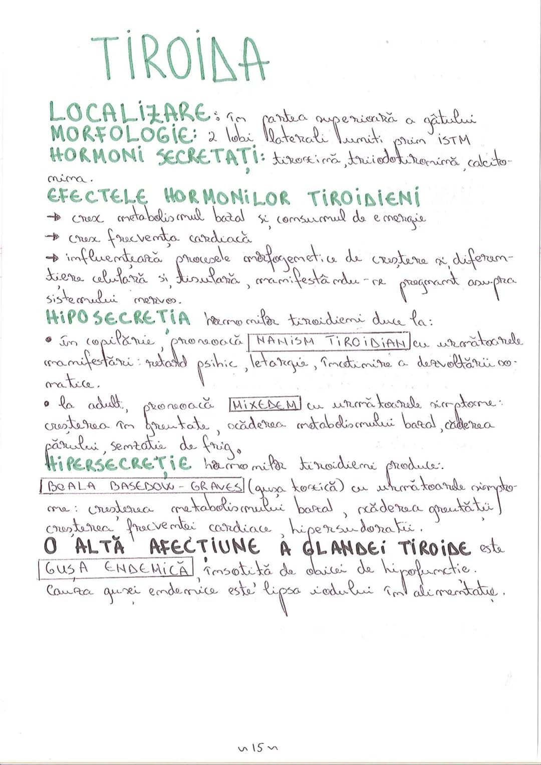 # SEGMENTELE CORPULUI UMAN
I CAP - alcătuit din
- NEUROCRANIU
- VISCEROCRANIU
II GÂT
III TRUNCHI format din
- TORACE
- ABDOMEN