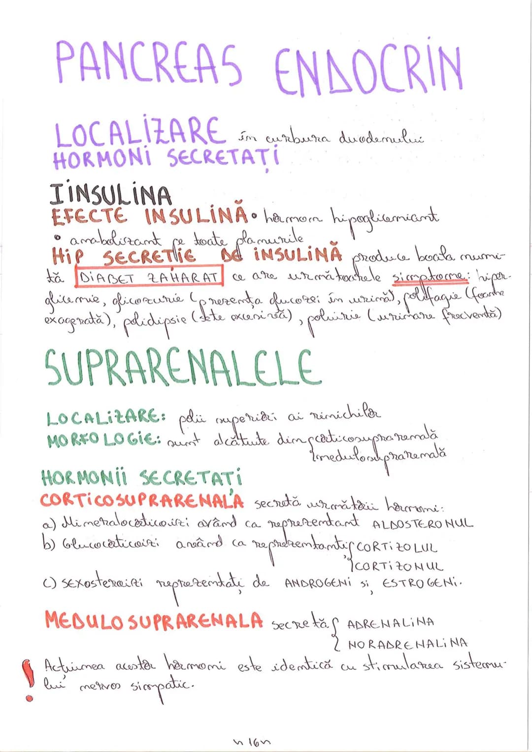 # SEGMENTELE CORPULUI UMAN
I CAP - alcătuit din
- NEUROCRANIU
- VISCEROCRANIU
II GÂT
III TRUNCHI format din
- TORACE
- ABDOMEN