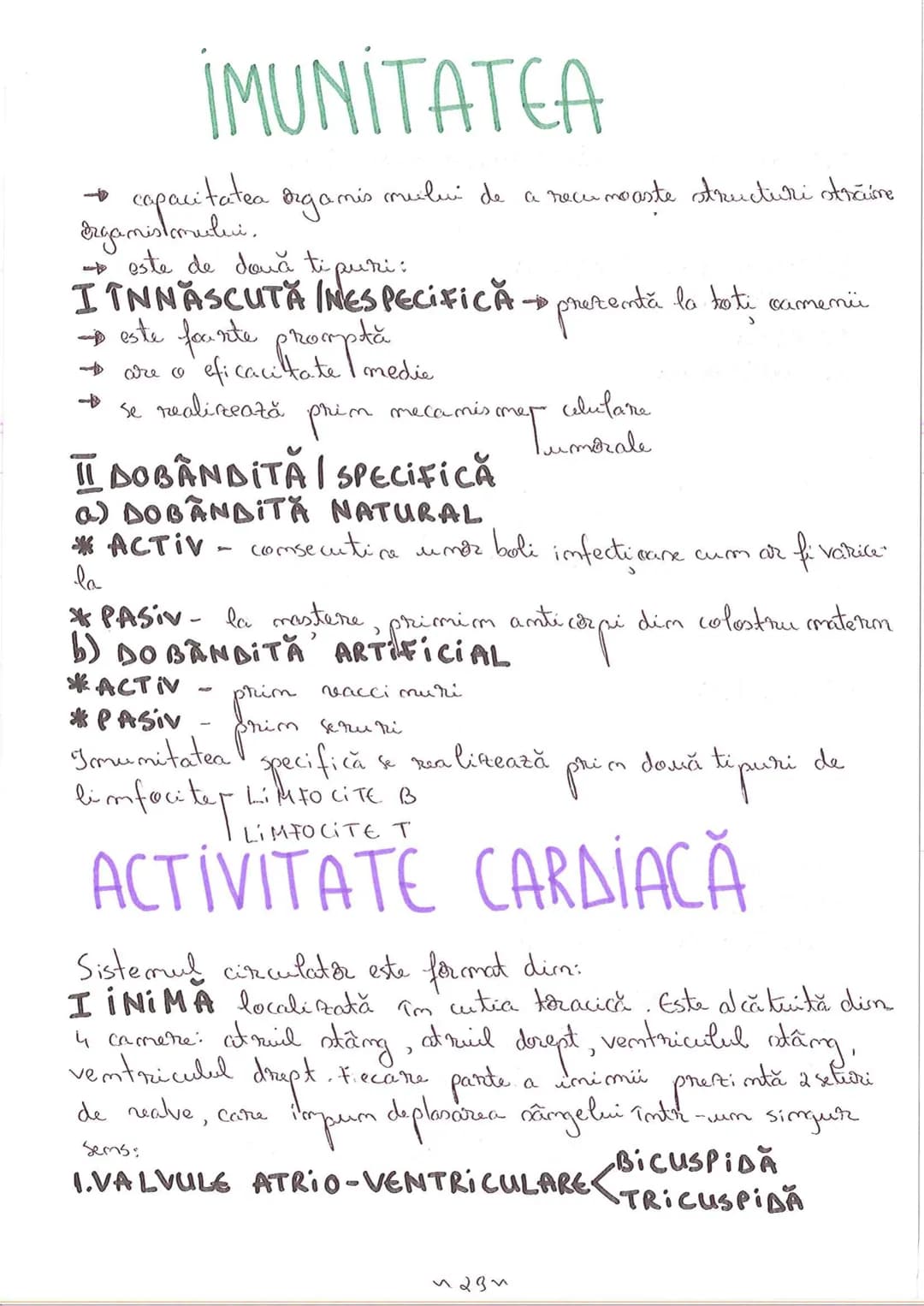 # SEGMENTELE CORPULUI UMAN
I CAP - alcătuit din
- NEUROCRANIU
- VISCEROCRANIU
II GÂT
III TRUNCHI format din
- TORACE
- ABDOMEN