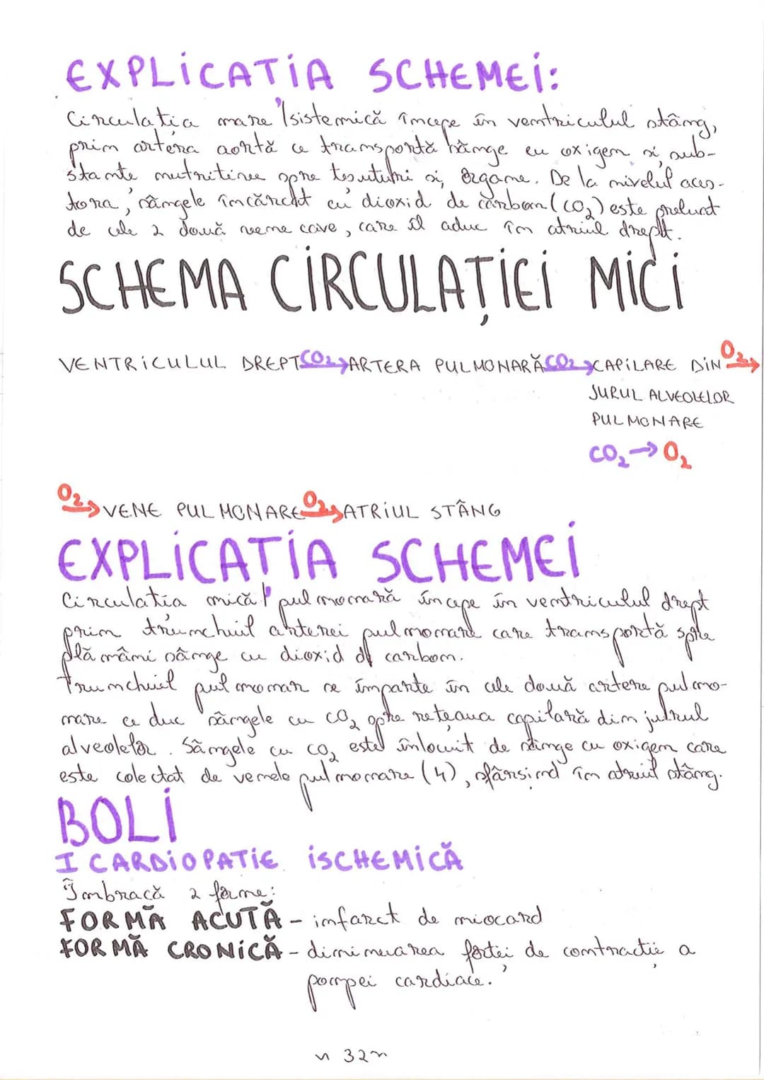 # SEGMENTELE CORPULUI UMAN
I CAP - alcătuit din
- NEUROCRANIU
- VISCEROCRANIU
II GÂT
III TRUNCHI format din
- TORACE
- ABDOMEN