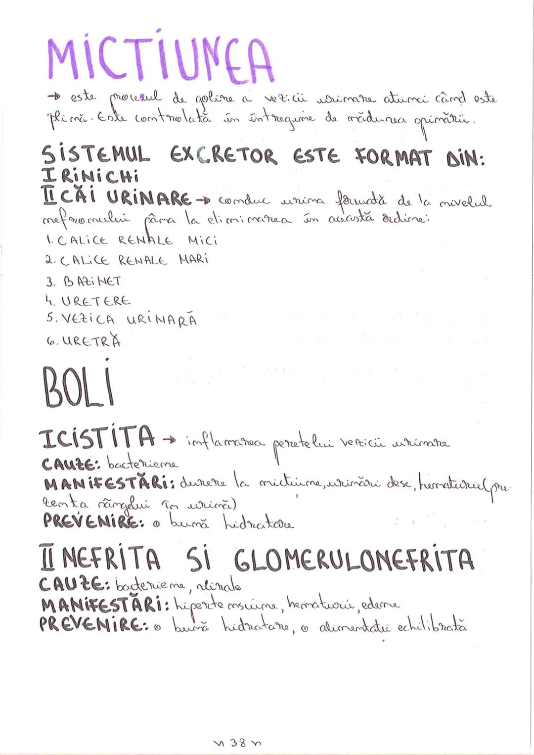 # SEGMENTELE CORPULUI UMAN
I CAP - alcătuit din
- NEUROCRANIU
- VISCEROCRANIU
II GÂT
III TRUNCHI format din
- TORACE
- ABDOMEN