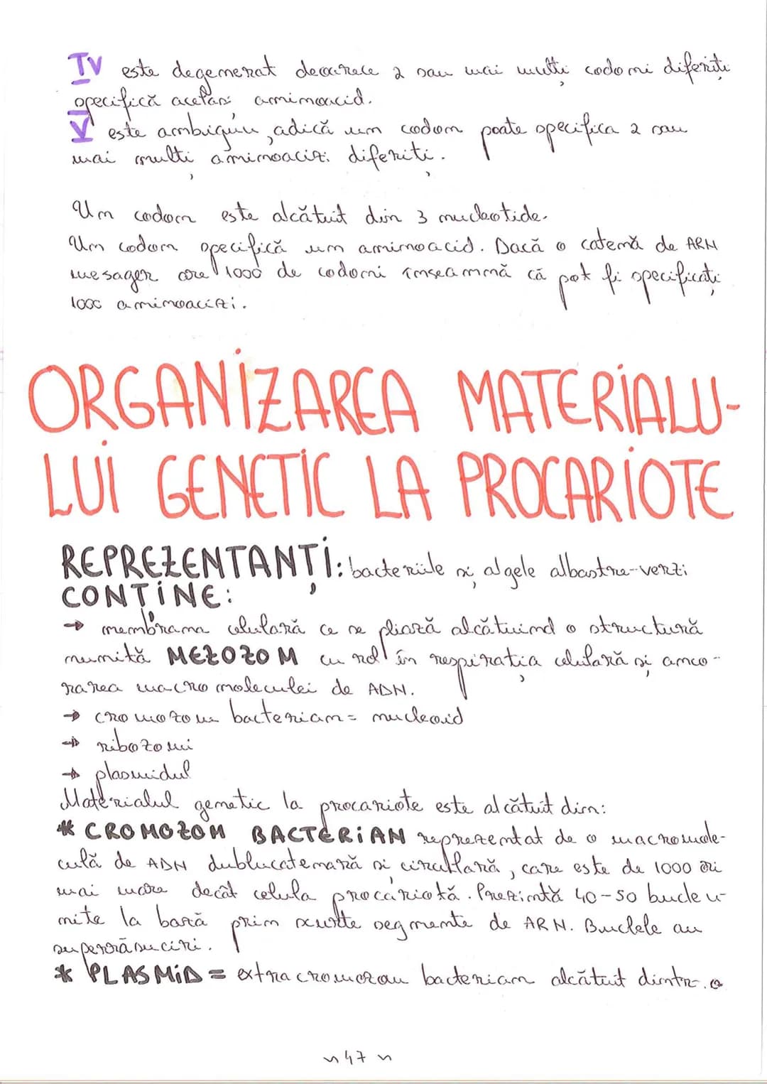 # SEGMENTELE CORPULUI UMAN
I CAP - alcătuit din
- NEUROCRANIU
- VISCEROCRANIU
II GÂT
III TRUNCHI format din
- TORACE
- ABDOMEN
