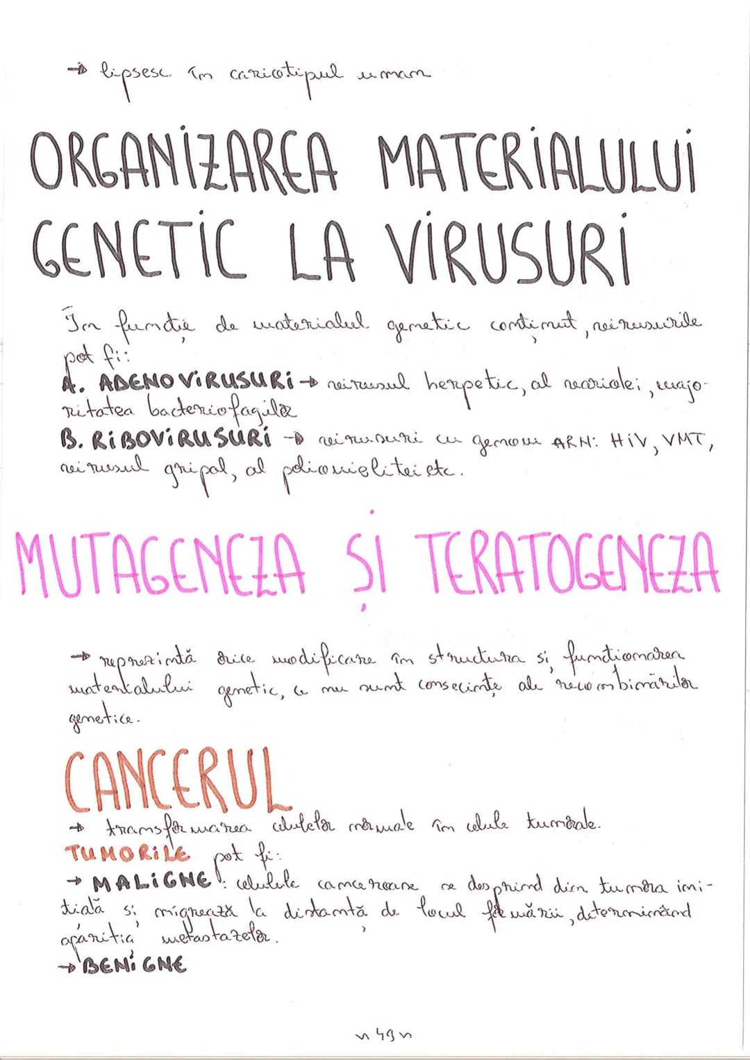 # SEGMENTELE CORPULUI UMAN
I CAP - alcătuit din
- NEUROCRANIU
- VISCEROCRANIU
II GÂT
III TRUNCHI format din
- TORACE
- ABDOMEN