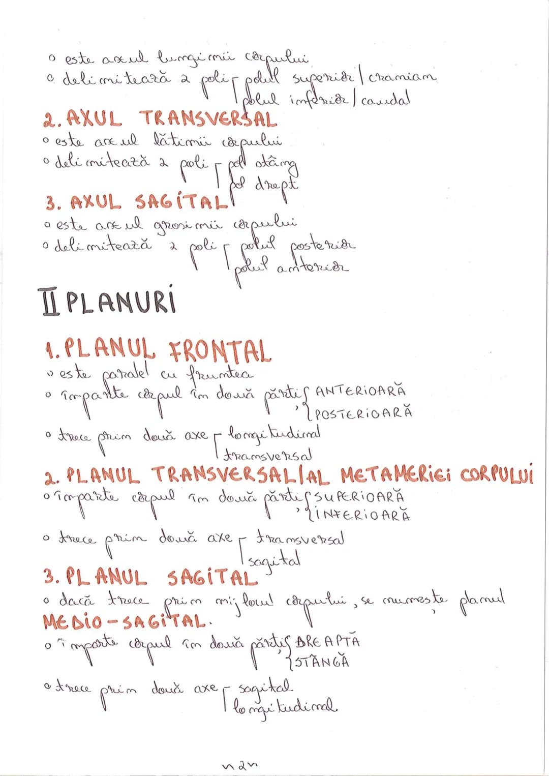 # SEGMENTELE CORPULUI UMAN
I CAP - alcătuit din
- NEUROCRANIU
- VISCEROCRANIU
II GÂT
III TRUNCHI format din
- TORACE
- ABDOMEN