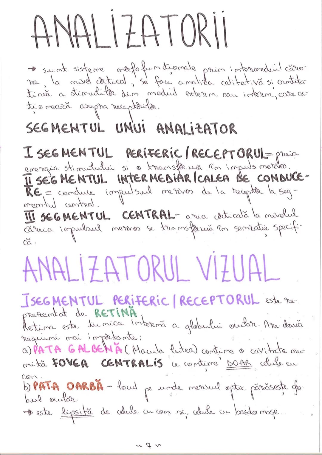 # SEGMENTELE CORPULUI UMAN
I CAP - alcătuit din
- NEUROCRANIU
- VISCEROCRANIU
II GÂT
III TRUNCHI format din
- TORACE
- ABDOMEN