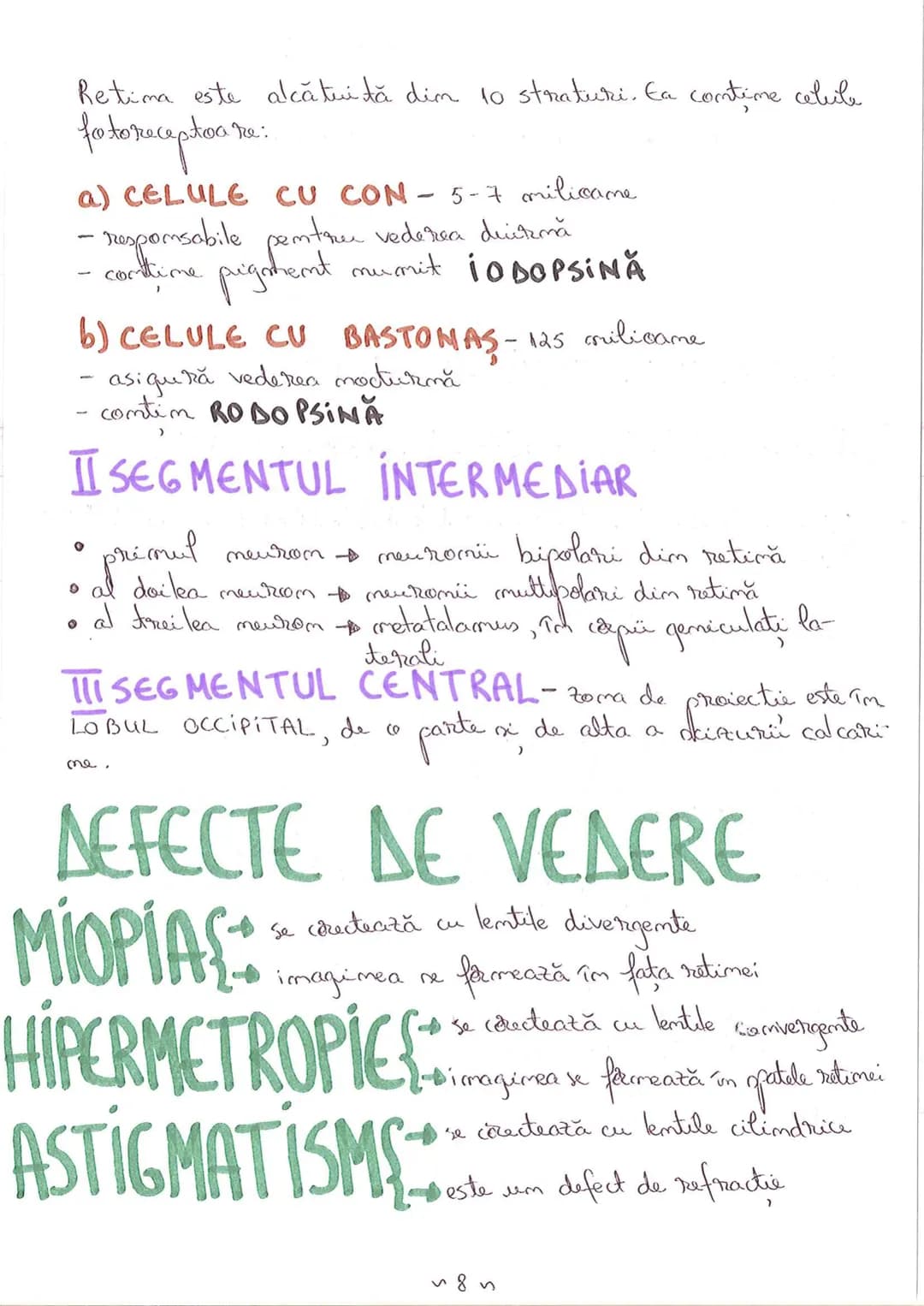 # SEGMENTELE CORPULUI UMAN
I CAP - alcătuit din
- NEUROCRANIU
- VISCEROCRANIU
II GÂT
III TRUNCHI format din
- TORACE
- ABDOMEN