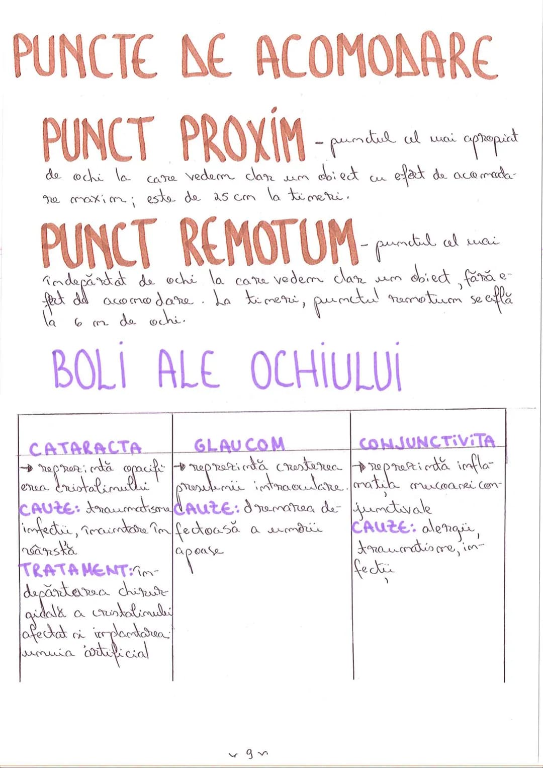 # SEGMENTELE CORPULUI UMAN
I CAP - alcătuit din
- NEUROCRANIU
- VISCEROCRANIU
II GÂT
III TRUNCHI format din
- TORACE
- ABDOMEN