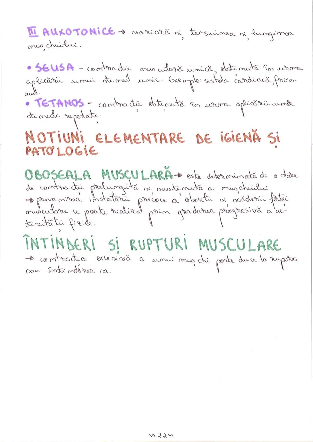 # SEGMENTELE CORPULUI UMAN
I CAP - alcătuit din
- NEUROCRANIU
- VISCEROCRANIU
II GÂT
III TRUNCHI format din
- TORACE
- ABDOMEN