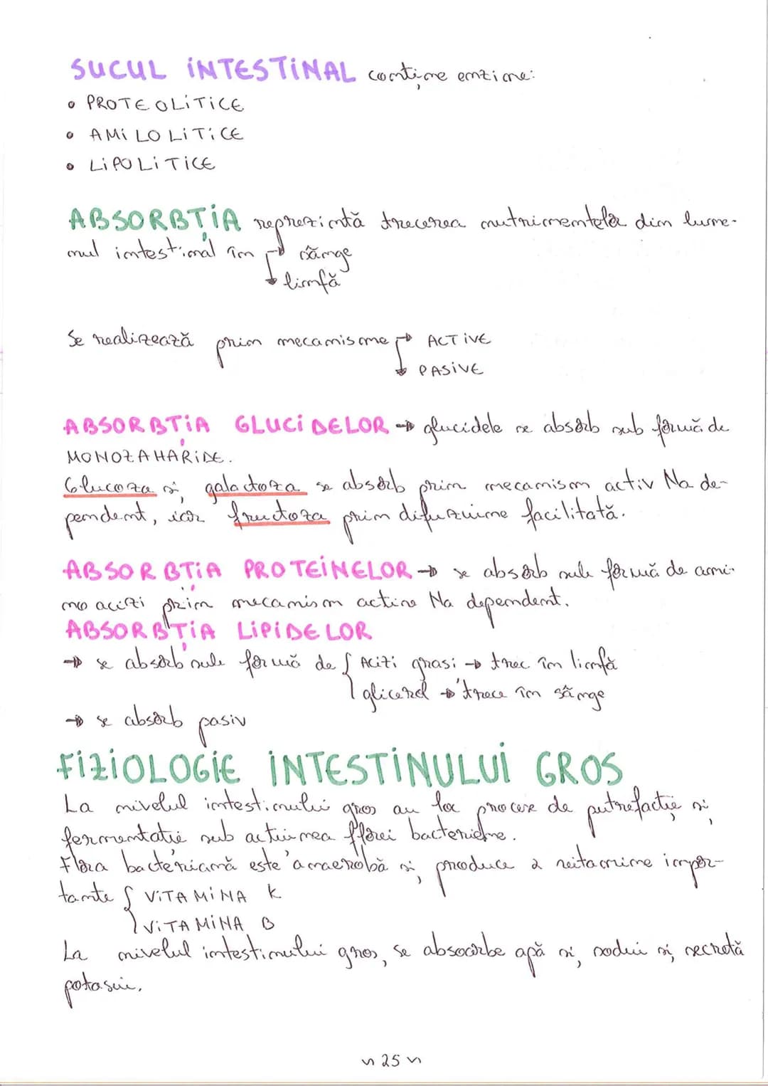 # SEGMENTELE CORPULUI UMAN
I CAP - alcătuit din
- NEUROCRANIU
- VISCEROCRANIU
II GÂT
III TRUNCHI format din
- TORACE
- ABDOMEN