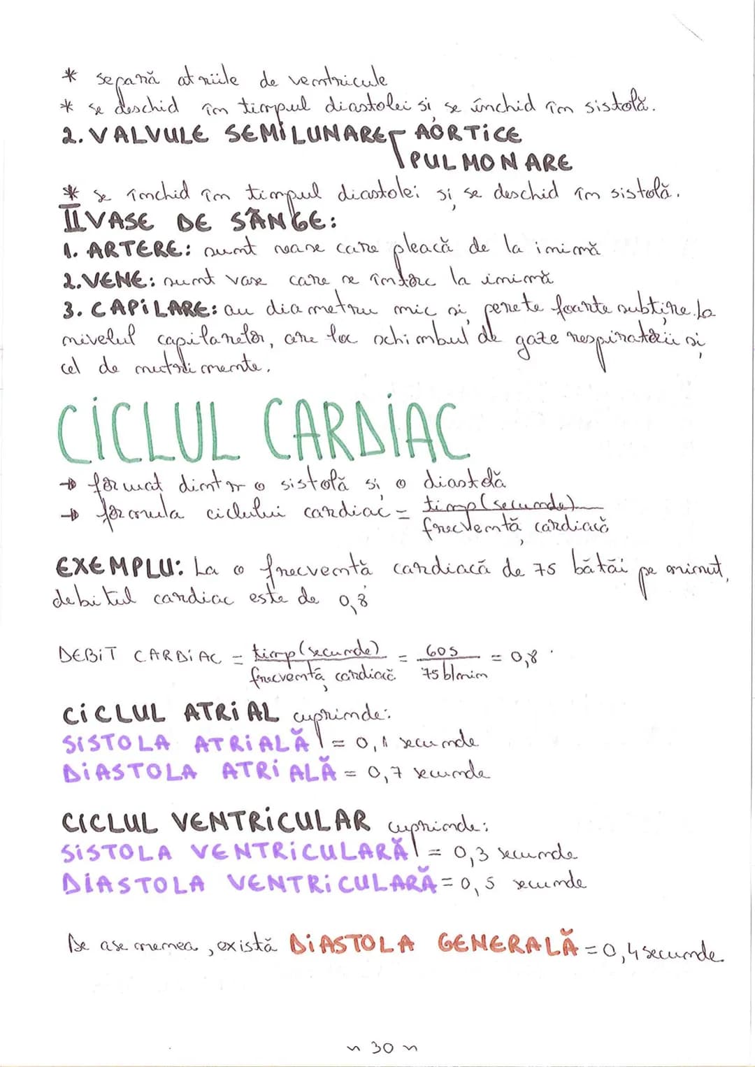 # SEGMENTELE CORPULUI UMAN
I CAP - alcătuit din
- NEUROCRANIU
- VISCEROCRANIU
II GÂT
III TRUNCHI format din
- TORACE
- ABDOMEN