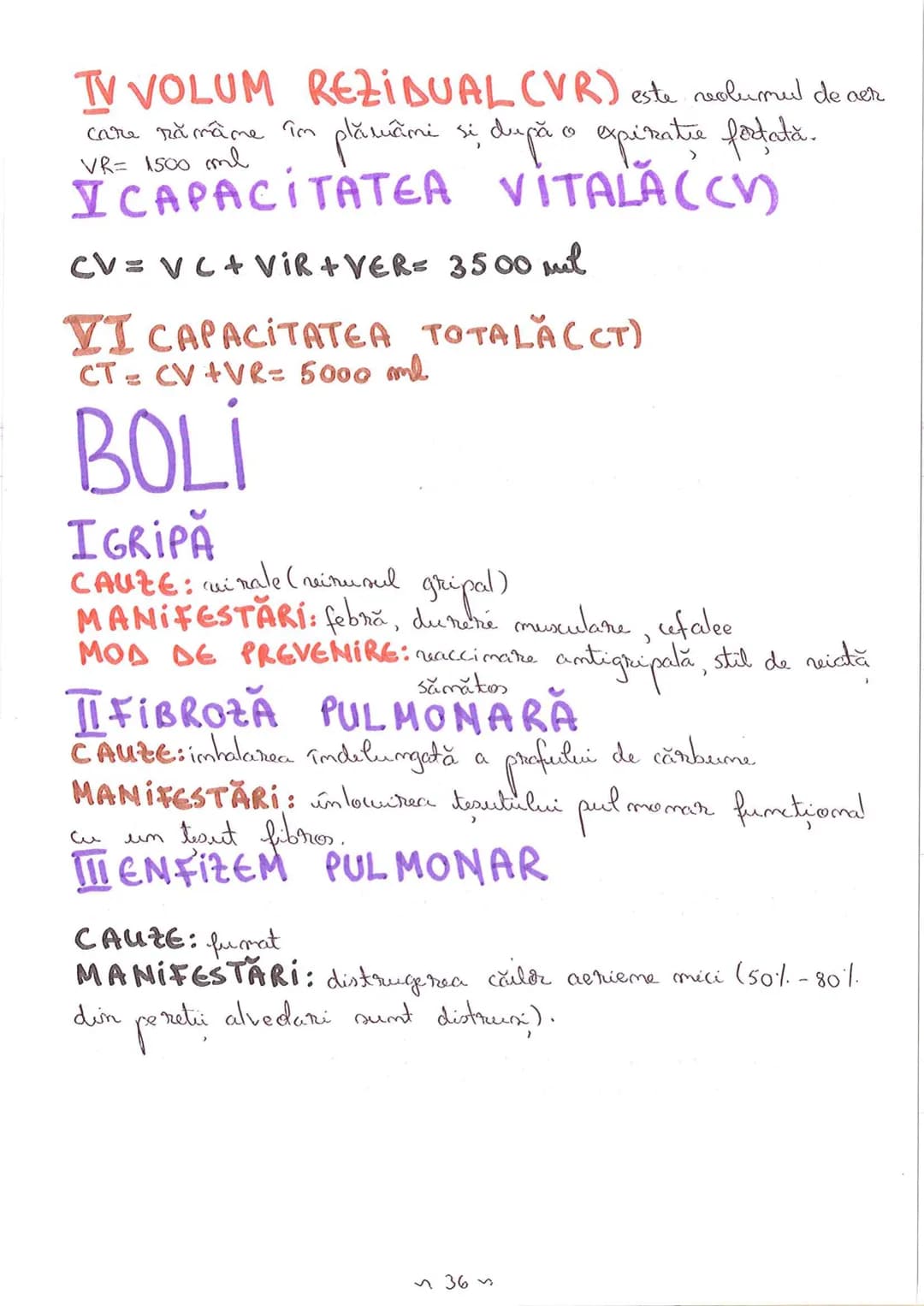 # SEGMENTELE CORPULUI UMAN
I CAP - alcătuit din
- NEUROCRANIU
- VISCEROCRANIU
II GÂT
III TRUNCHI format din
- TORACE
- ABDOMEN