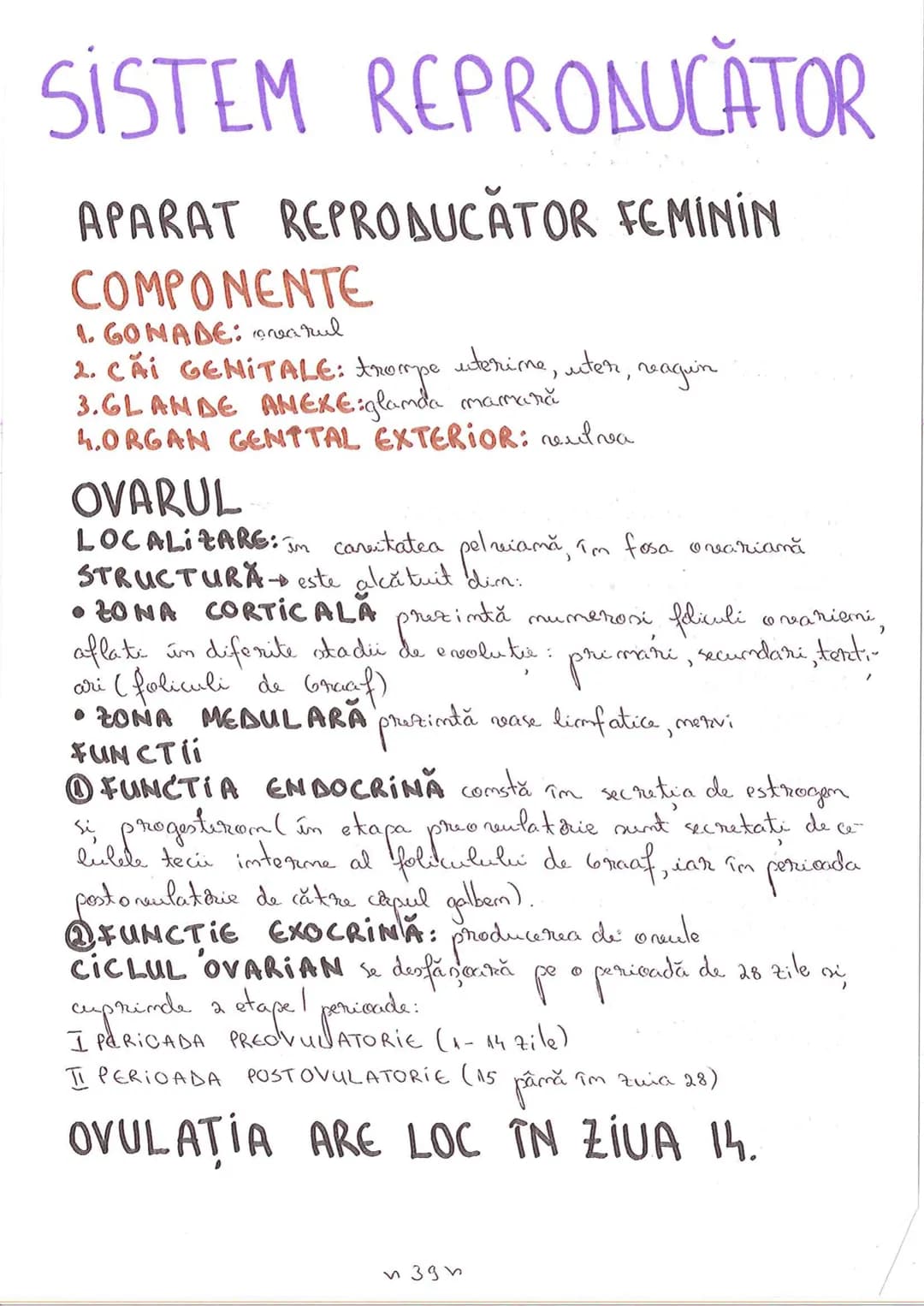 # SEGMENTELE CORPULUI UMAN
I CAP - alcătuit din
- NEUROCRANIU
- VISCEROCRANIU
II GÂT
III TRUNCHI format din
- TORACE
- ABDOMEN