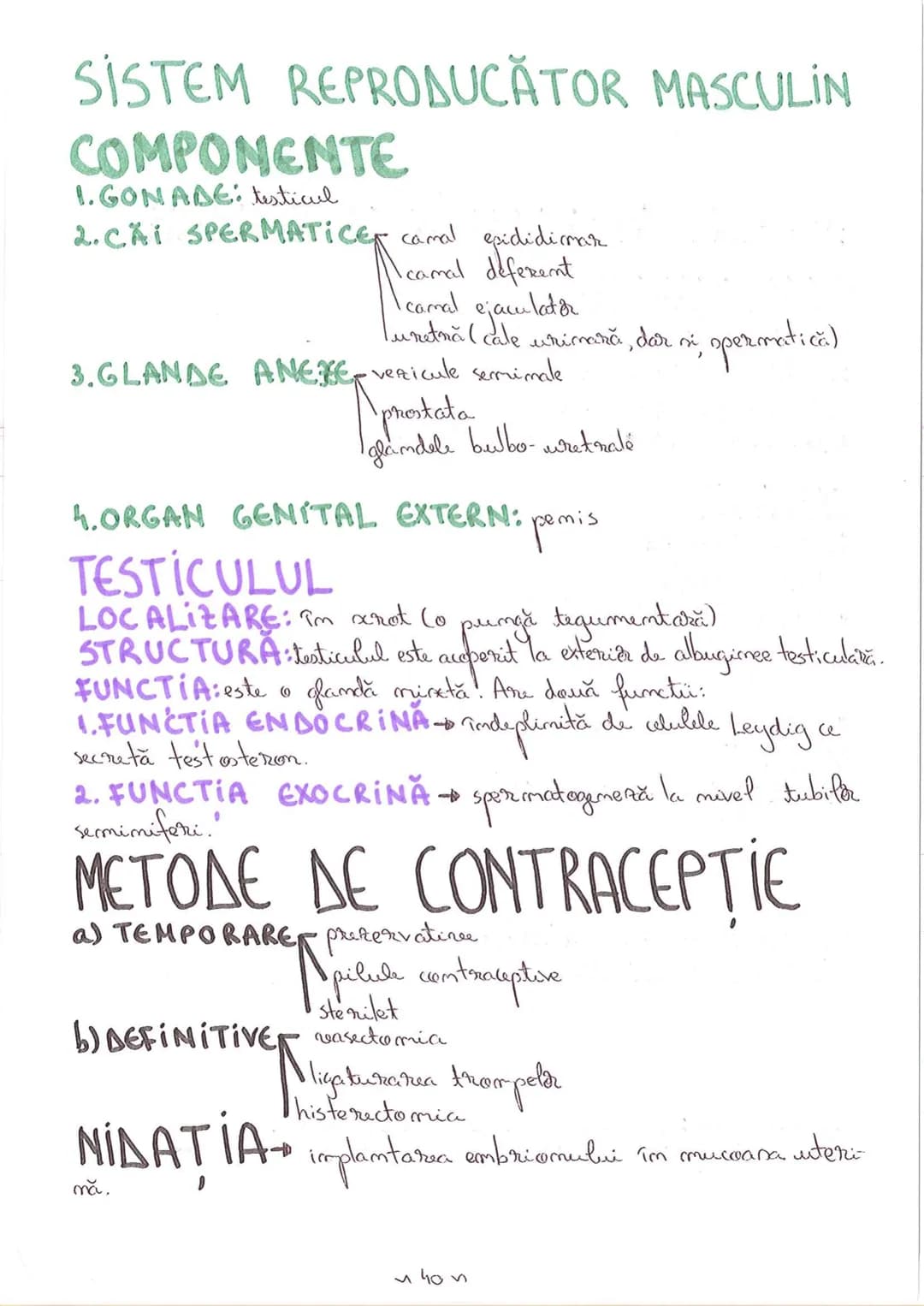 # SEGMENTELE CORPULUI UMAN
I CAP - alcătuit din
- NEUROCRANIU
- VISCEROCRANIU
II GÂT
III TRUNCHI format din
- TORACE
- ABDOMEN