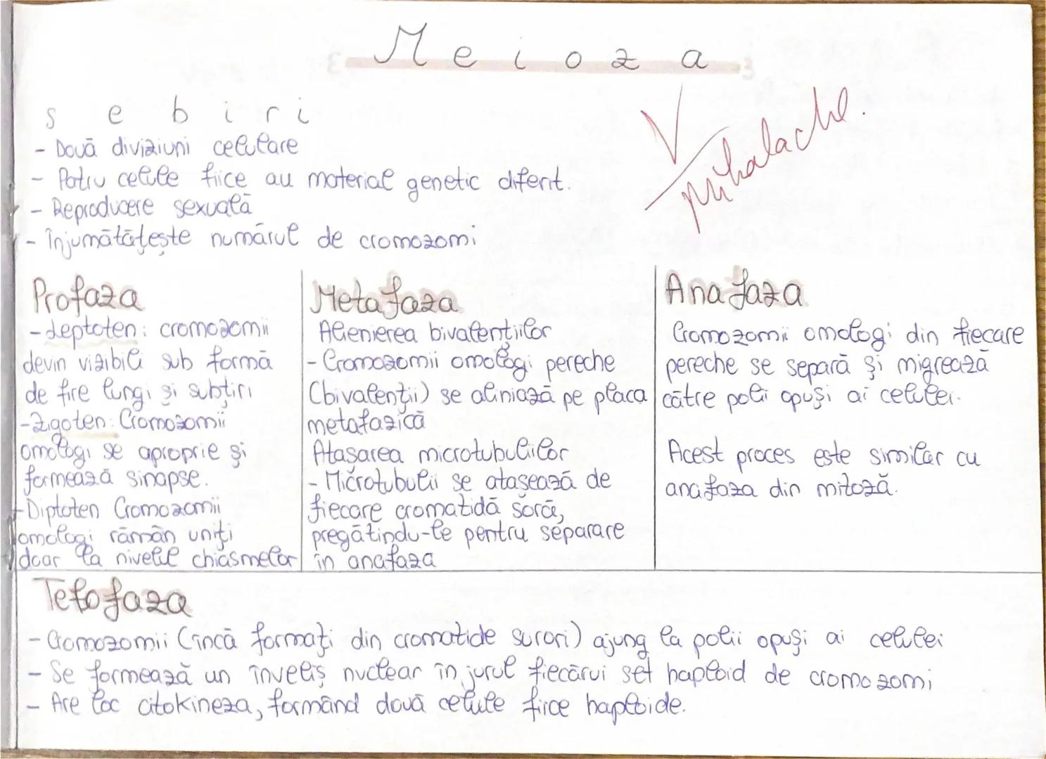 --- OCR Start ---
Mitoza 3
0
diviziune celulară
Dova celule fiice identice genetic
Păstrează numărul de cromozomi al celulei mamā
Crestere,