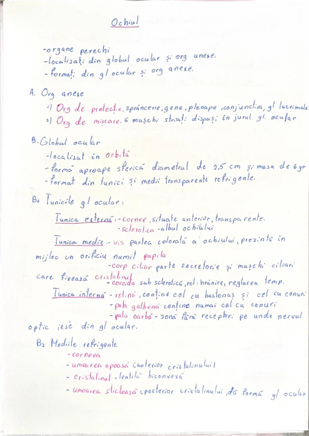 Ochiul
-organe perechi
-localizați din globul ocular şi org anexe.
-format: din gl ocular și org anere.
A. Org anexe
1) Org de protecție,