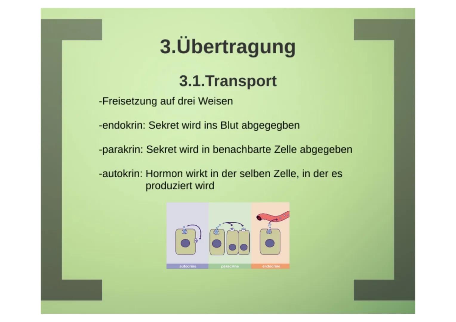 1.Hormone
1.1.Definition
-chemische Signal- und Botenstoffe
-übermitteln Informationen und
regeln wichtige Vorgänge
1.2.Klassifizierung
-U