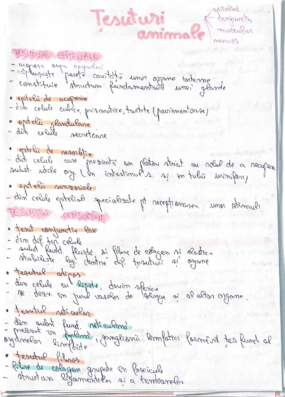 # Tesuturi
TESUTURI EPITELIALE
- acopera sur corpului
- captuseste peretiin cavitatii unor organe interme
- constituie structura fundamenta