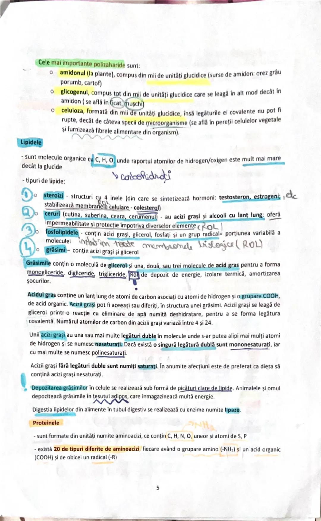 # UREEA 1828
2. Bazele chimice ale anatomiei şi fiziologiei
- în anul 1800 - cercetătorii au remarcat posibilitatea de a sintetiza anumiți