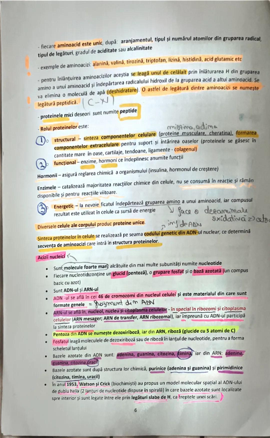 # UREEA 1828
2. Bazele chimice ale anatomiei şi fiziologiei
- în anul 1800 - cercetătorii au remarcat posibilitatea de a sintetiza anumiți