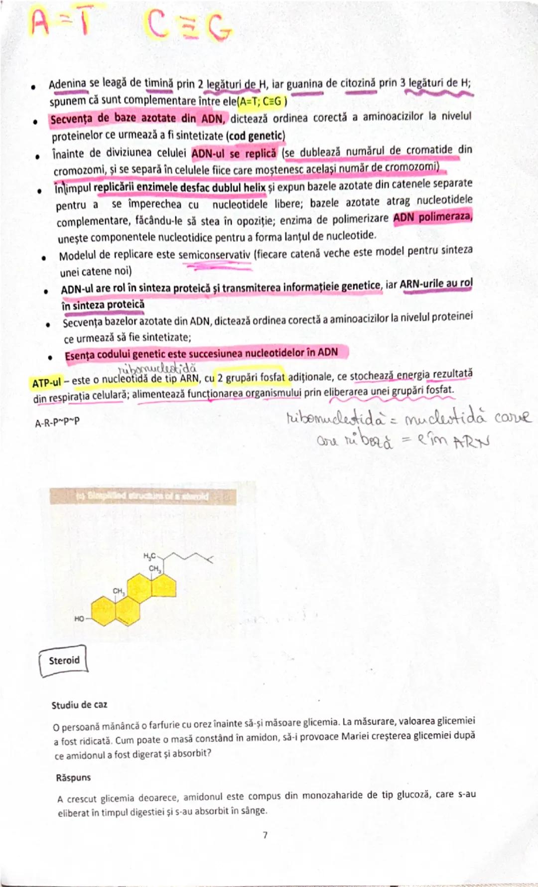 # UREEA 1828
2. Bazele chimice ale anatomiei şi fiziologiei
- în anul 1800 - cercetătorii au remarcat posibilitatea de a sintetiza anumiți