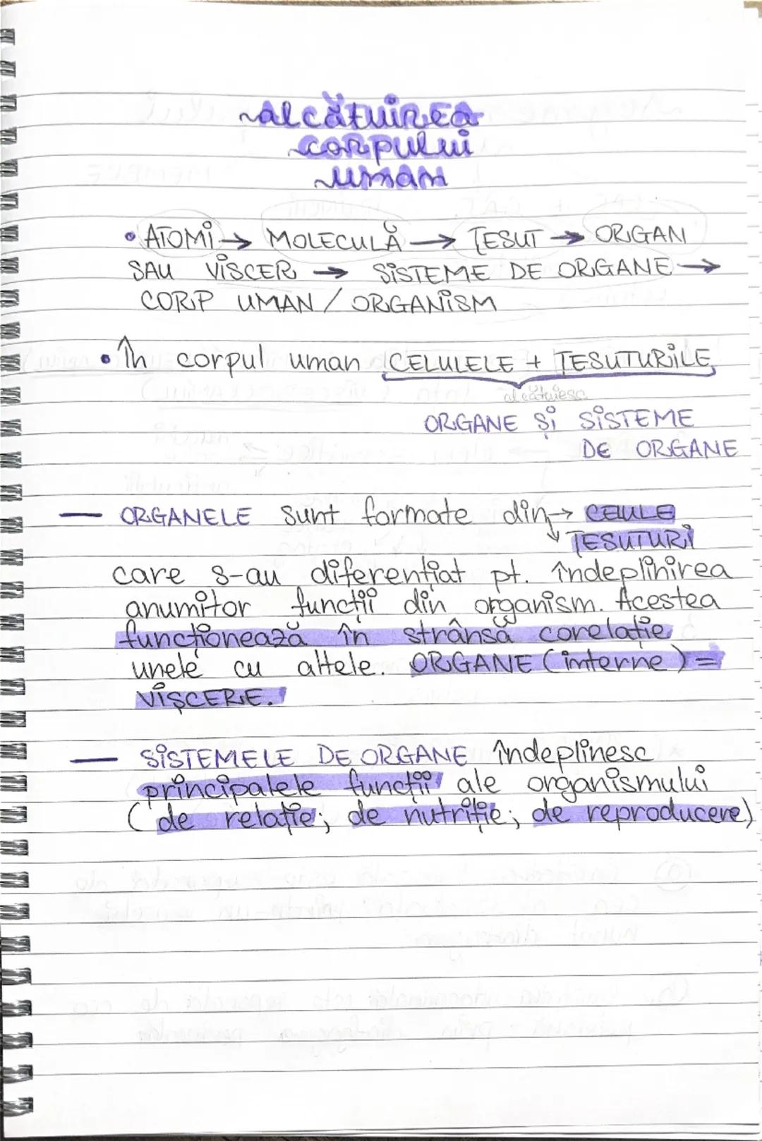- alcatuirea
corpului
umam
•ATOMI MOLECULA [ESUT ORIGAN
SAU VISCER SISTEME DE ORGANE
CORIP UMAN/ORGANISM
• In corpul uman CELULELE + TESUT