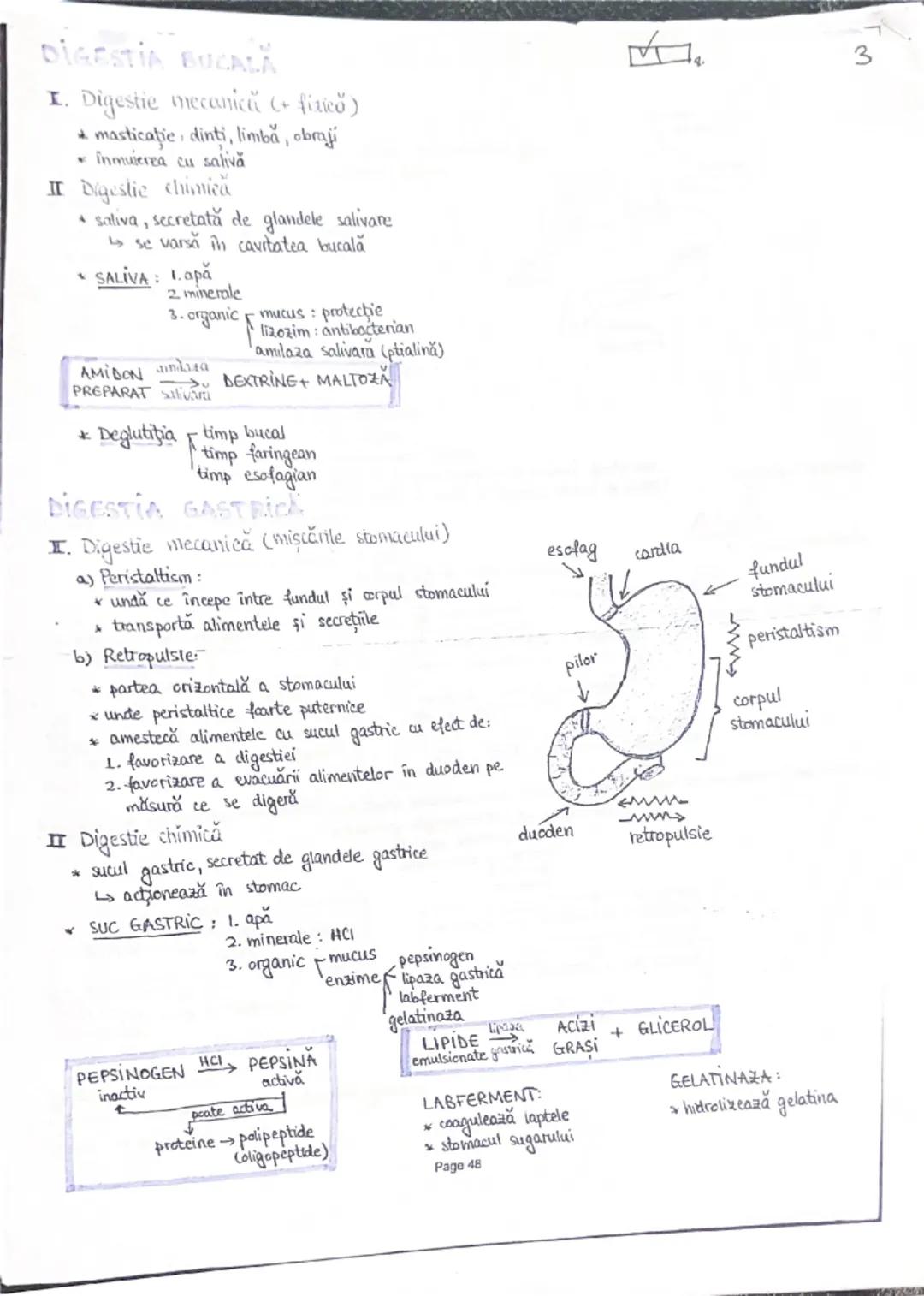 Digestia Bac Biologie 11/12