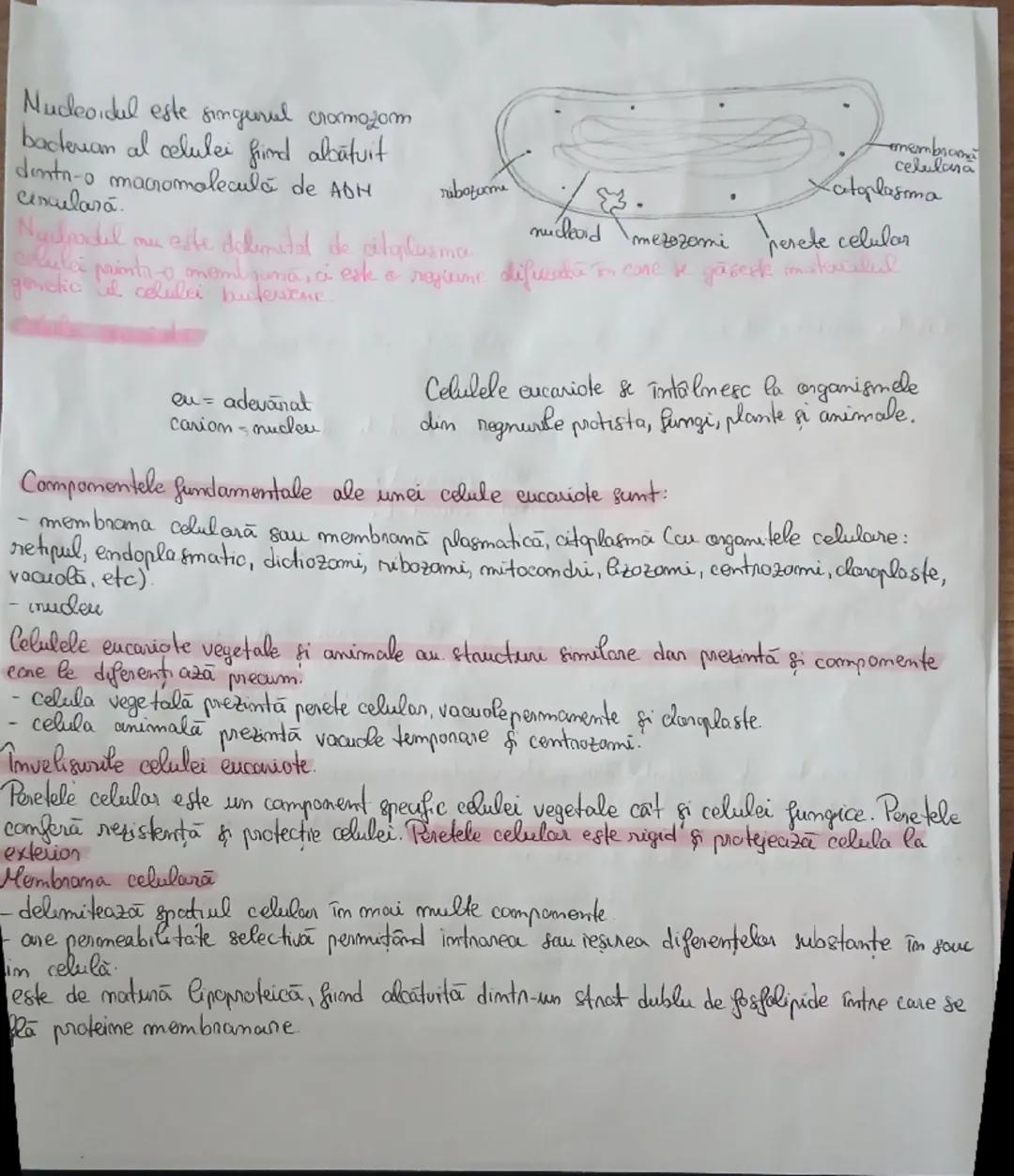 # Celula
Celula unitatea de bază structurală & funcțională a lumi vi..
Citologia este stinta care
Studiază fanana, structura &
funcfile ce