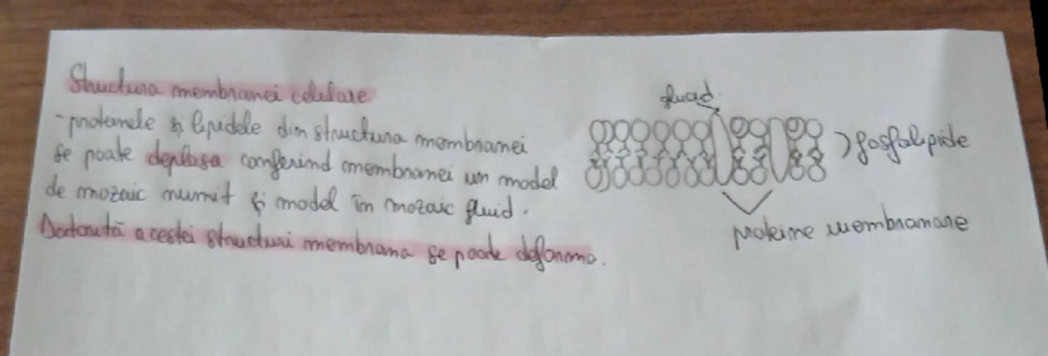 # Celula
Celula unitatea de bază structurală & funcțională a lumi vi..
Citologia este stinta care
Studiază fanana, structura &
funcfile ce