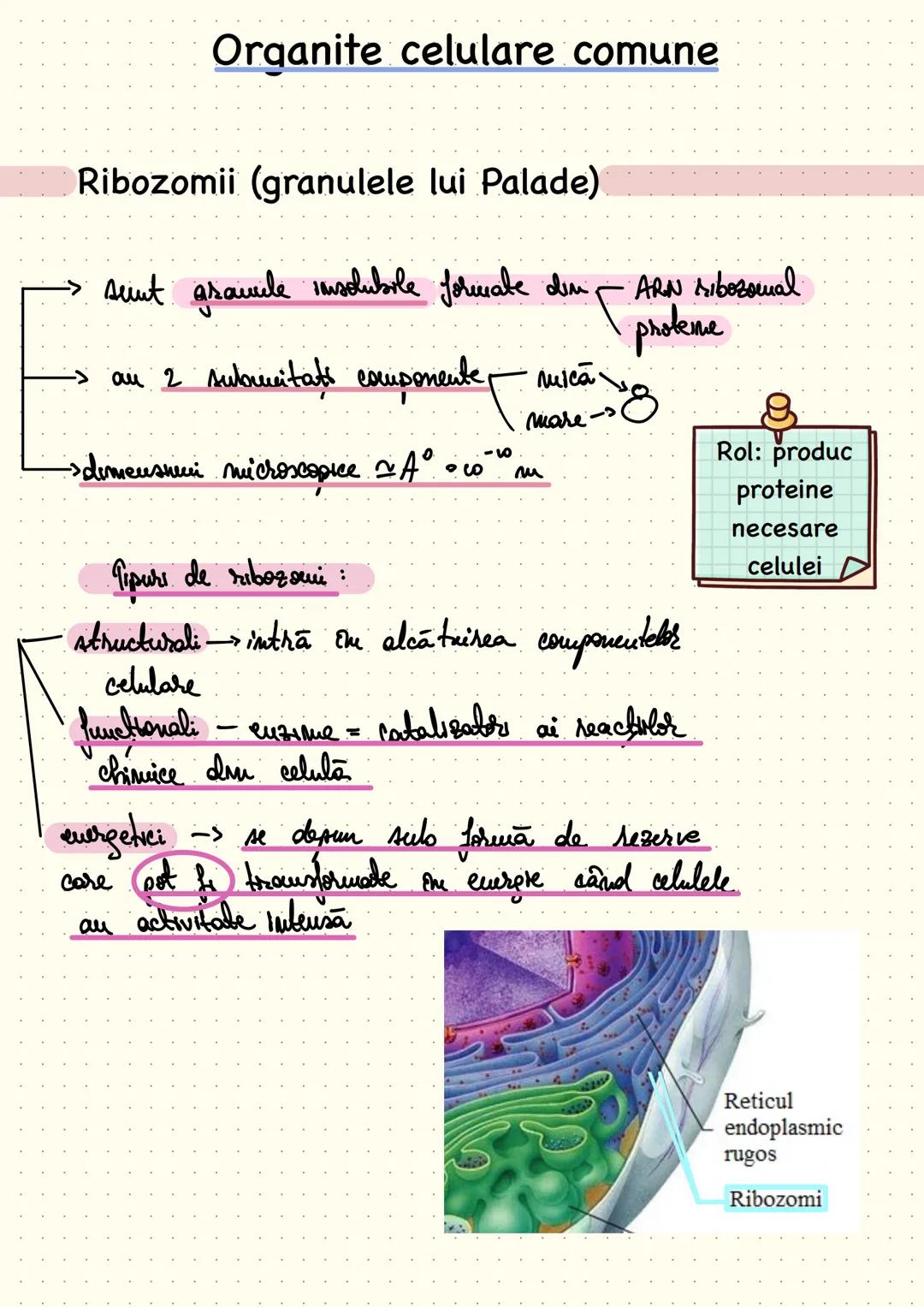 # composition book
Notite Celula
Eucariota # Cap 1 - Celula - unitatea
structurală și funcțională a lumii vii
Def: Celula este unitatea st