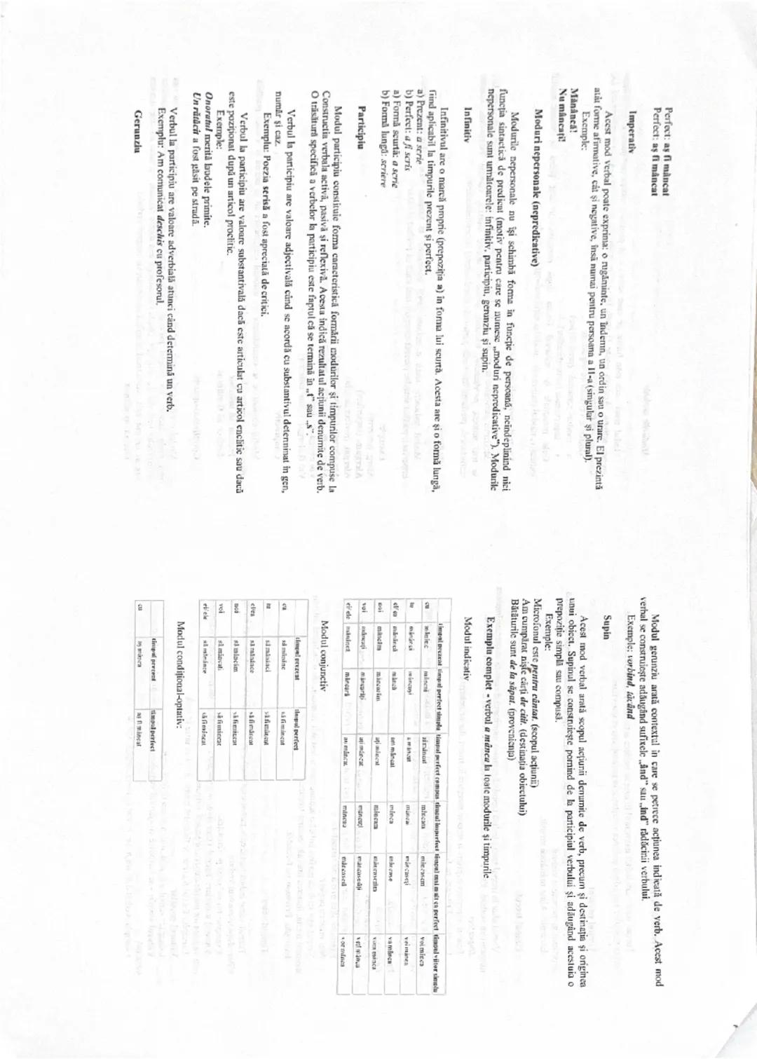 # ROMÂNĂ 1
Limba română - Morfologia 1
Booklet
Verbul desemnează acțiuni, stări, existenţa; de el depind cele mai multe elemente
ale unul