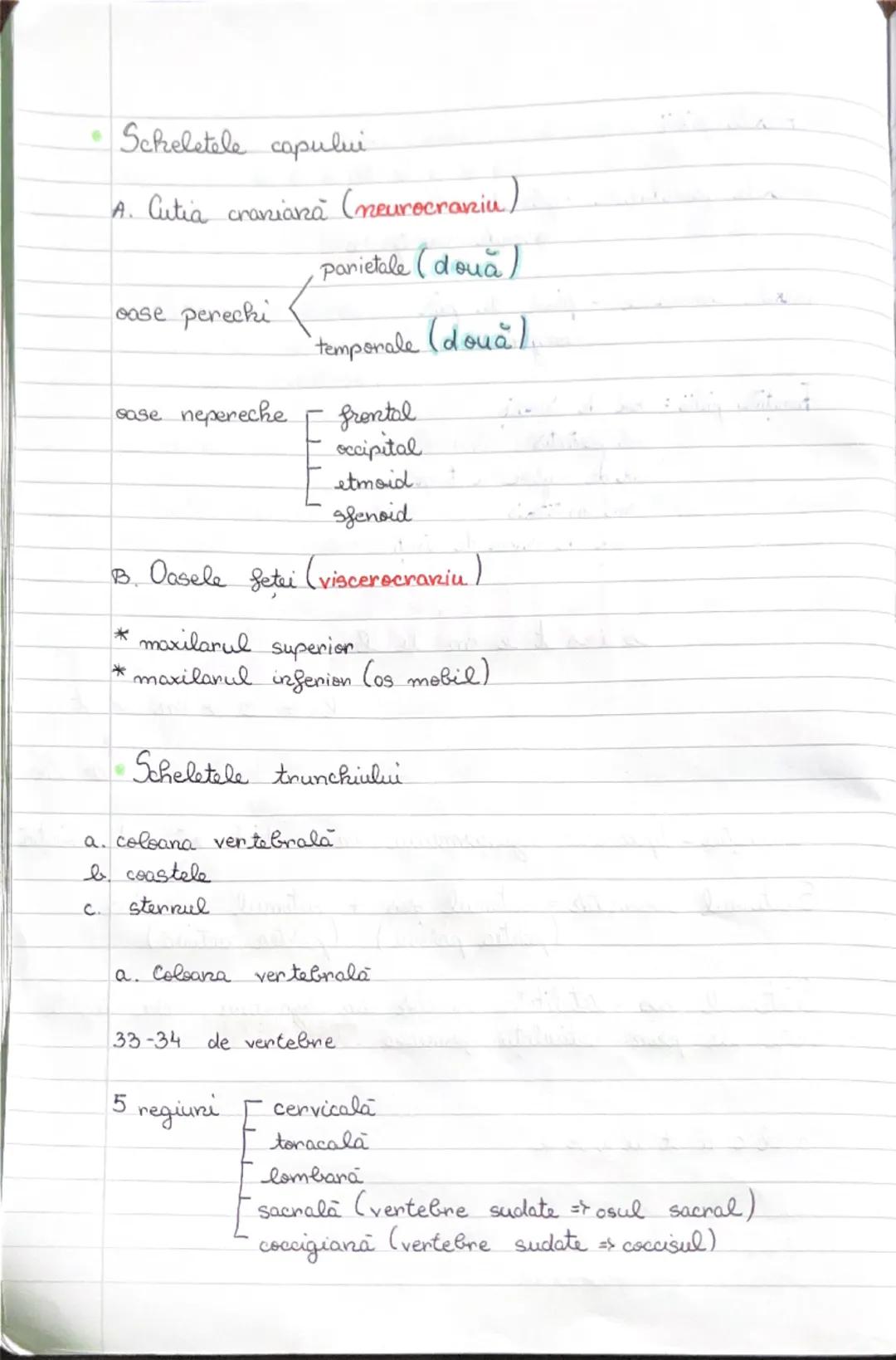 # SISTEMUL
SISTEMUL LOCOMOTOR
locomoția = deplasarea organismului în mediul său de viață
Sistemul locomotor = sistemul osos + sistemul muscu