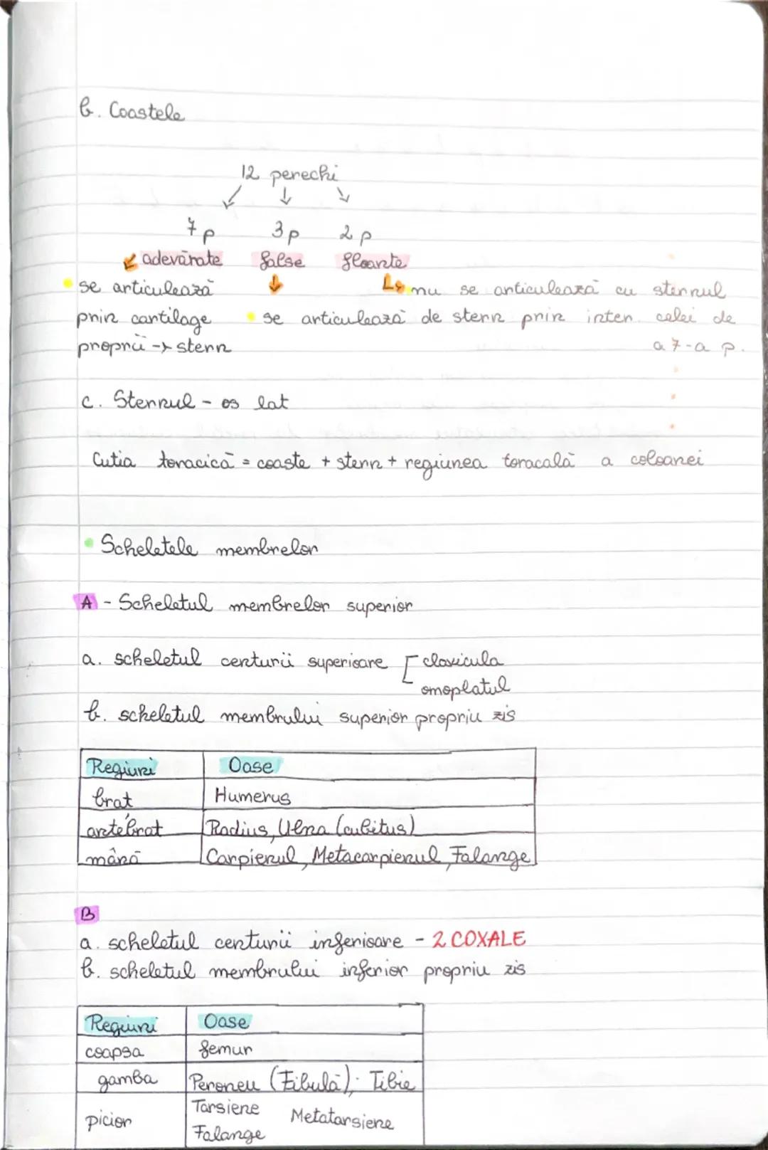 # SISTEMUL
SISTEMUL LOCOMOTOR
locomoția = deplasarea organismului în mediul său de viață
Sistemul locomotor = sistemul osos + sistemul muscu