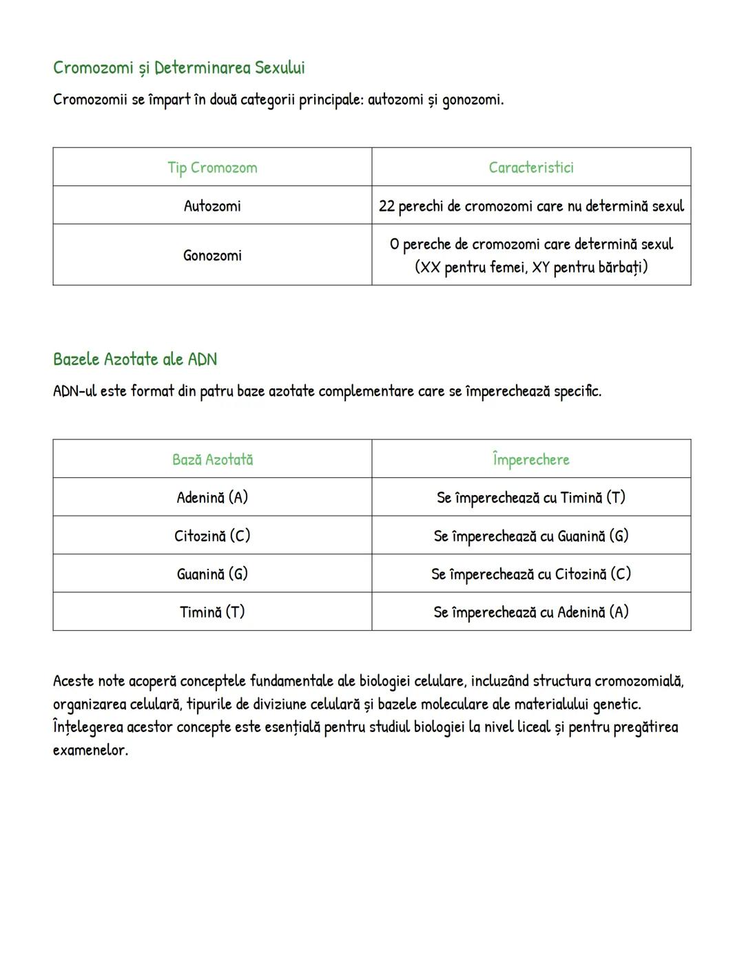 # Noţiuni Fundamentale în Biologia Celulară
## Structuri Cromozomiale şi ADN
ADN-ul reprezintă materialul genetic al celulei, care în forma