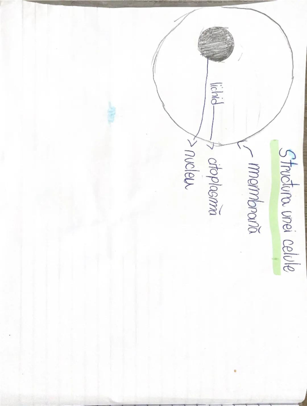 --- OCR Start ---
Regmurile lumii vi
07.03.2025
*** Organisme unicelulare = aw o singură celula
☆
-Organisime pluricelulare = au mai multe c