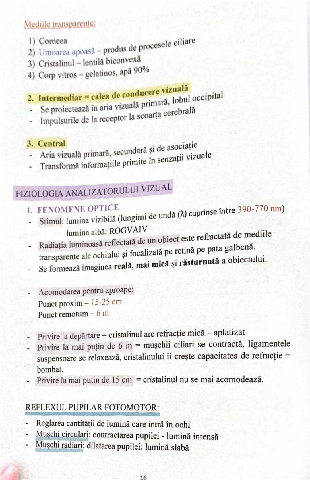 # ANALIZATORUL VIZUAL
Conjunctiva
Pupilă
Corneea
(transparentă)
Camera anterioară
Iris
(colorat)
Unghi
Conjunctiva
Scleră
Retină
Cristalin