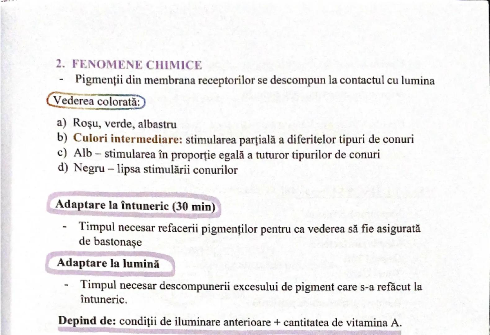 # ANALIZATORUL VIZUAL
Conjunctiva
Pupilă
Corneea
(transparentă)
Camera anterioară
Iris
(colorat)
Unghi
Conjunctiva
Scleră
Retină
Cristalin