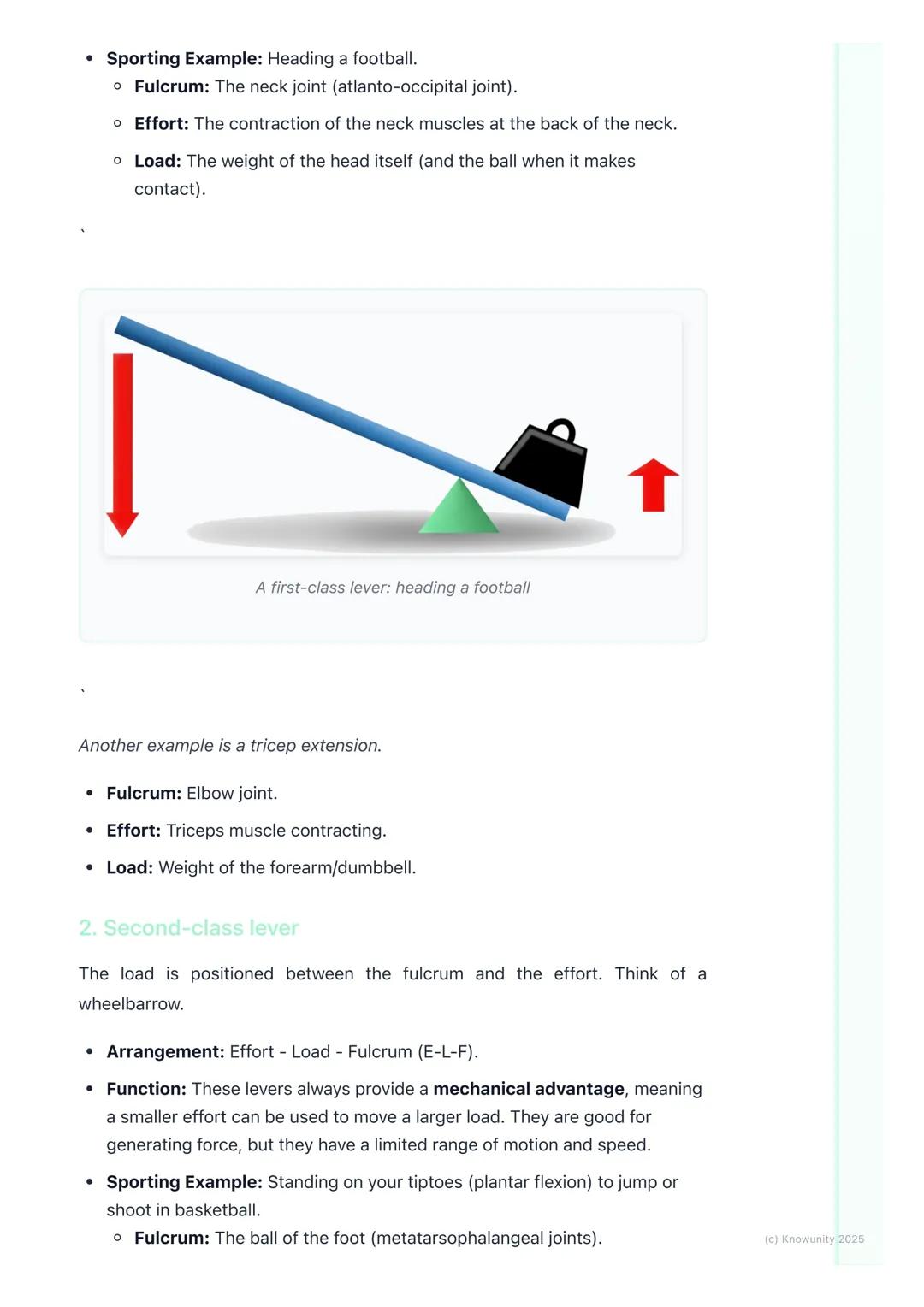 # Levers in the Human Body
What are levers in the body?
A lever is a rigid bar that moves on a fixed point called a fulcrum when a force
(