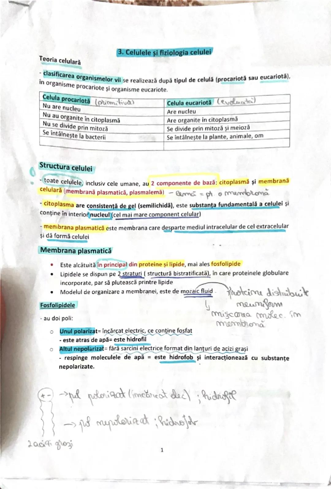 # 3. Celulele şi fiziologia celulei
Teoria celulară
- clasificarea organismelor vii se realizează după tipul de celulă (procariotă sau euc
