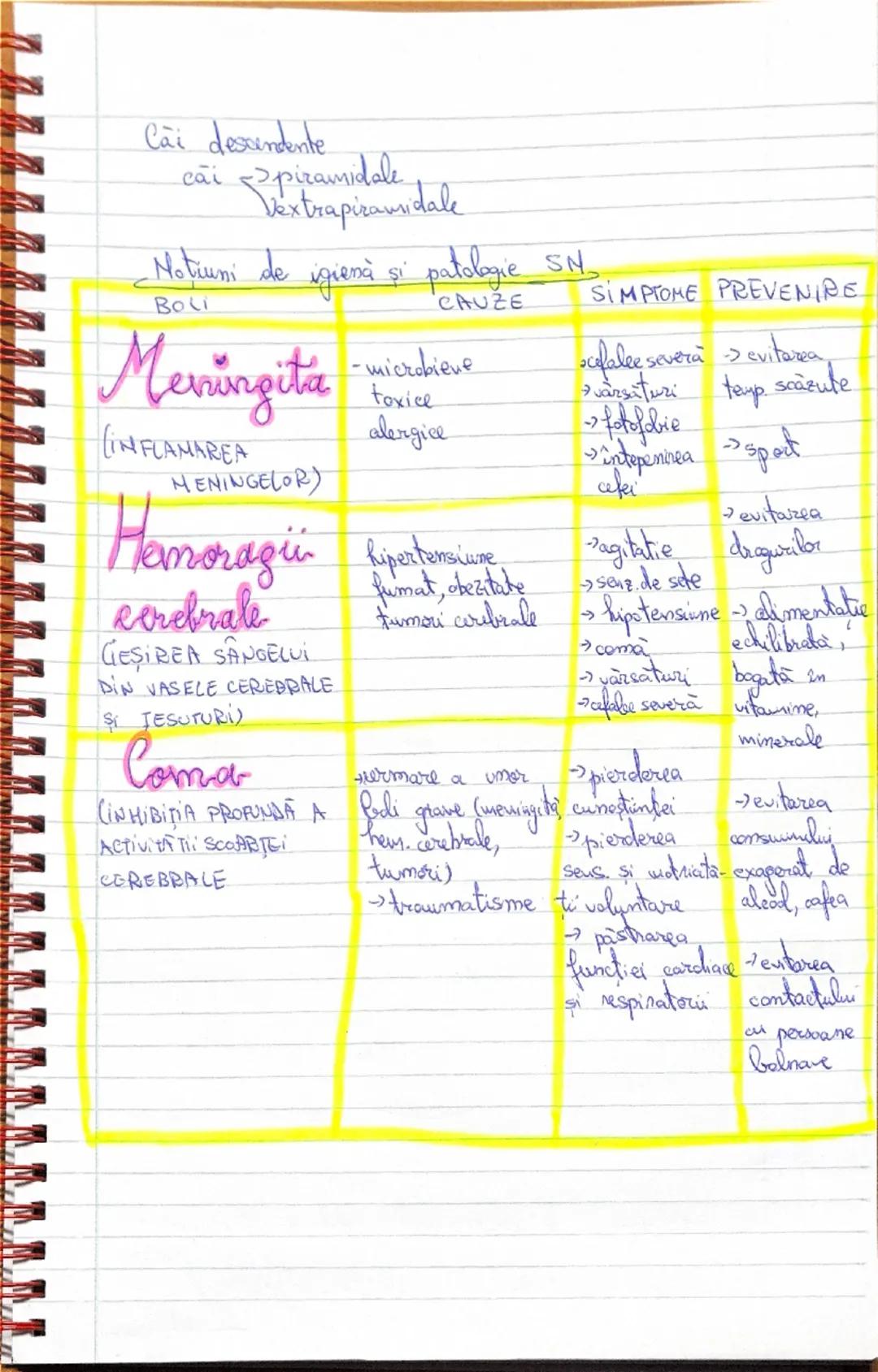 --- OCR Start ---
Sistemul mervos,
D.pd.v topografic
D. p. d. v functional
viscerelor
central penalal
MS
periferic nervi
ganglioni nervost
•