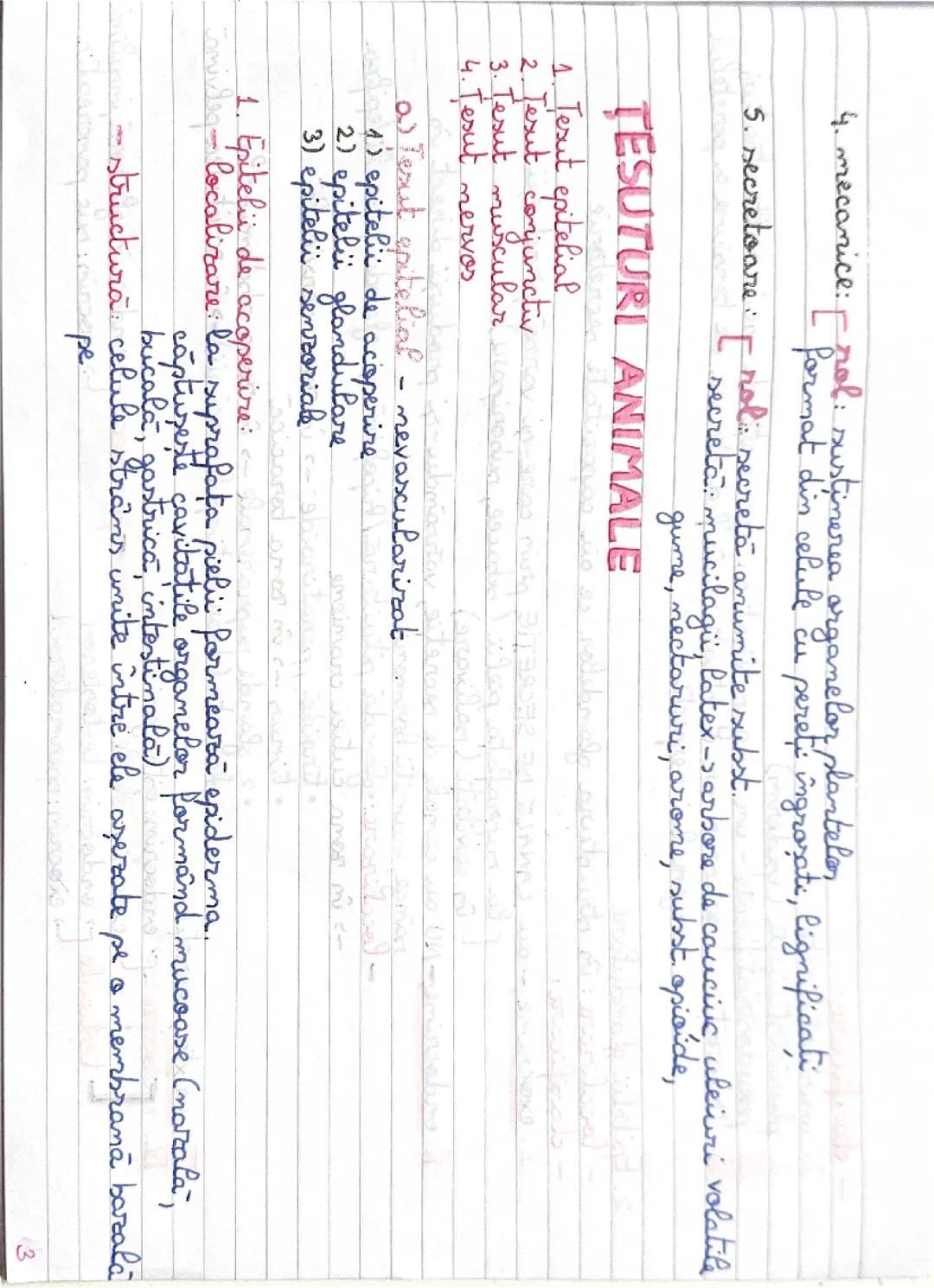 PARTEA 2 Capitol Tesuturi vegetale si animale