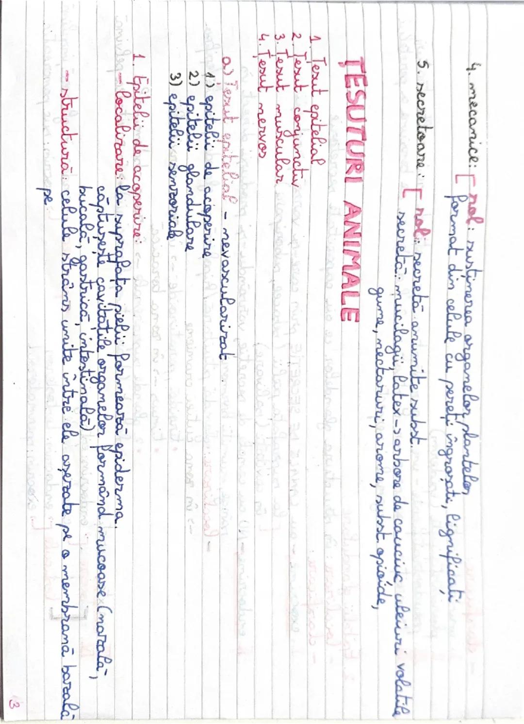 4. mecanice: [ prol: rol: sustinerea organelor plantelor
format din celule cu pereti îngroşati, lignificati
5. secretoare: [ noli secreta an