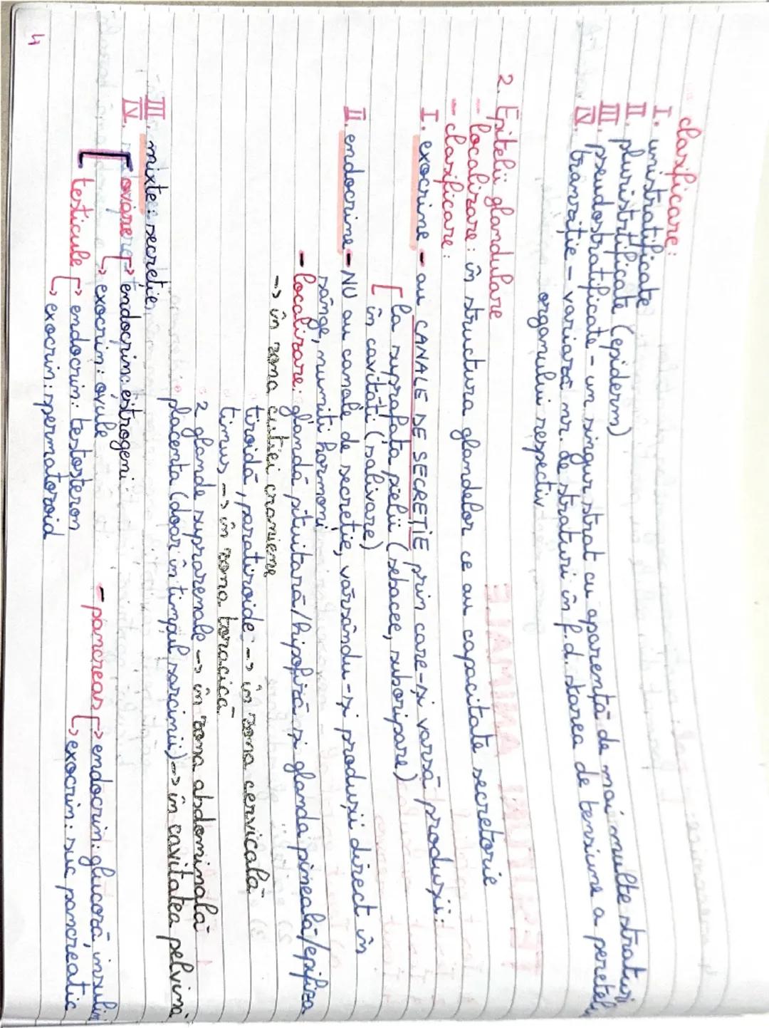 4. mecanice: [ prol: rol: sustinerea organelor plantelor
format din celule cu pereti îngroşati, lignificati
5. secretoare: [ noli secreta an