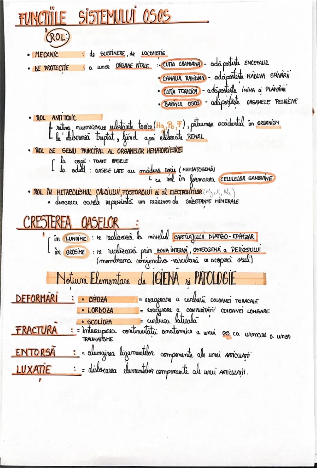 # Sistemul OSOS
SCHELETUL = totalitatea oaselor așezate în poziția anatomică
• este format din:
1. SCHELETUL CAPULUI:
○ NEUROCRANIU
• a