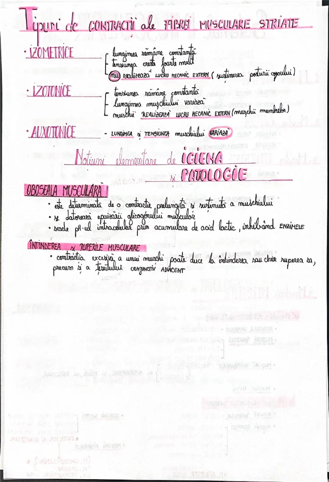# Sistemul OSOS
SCHELETUL = totalitatea oaselor așezate în poziția anatomică
• este format din:
1. SCHELETUL CAPULUI:
○ NEUROCRANIU
• a