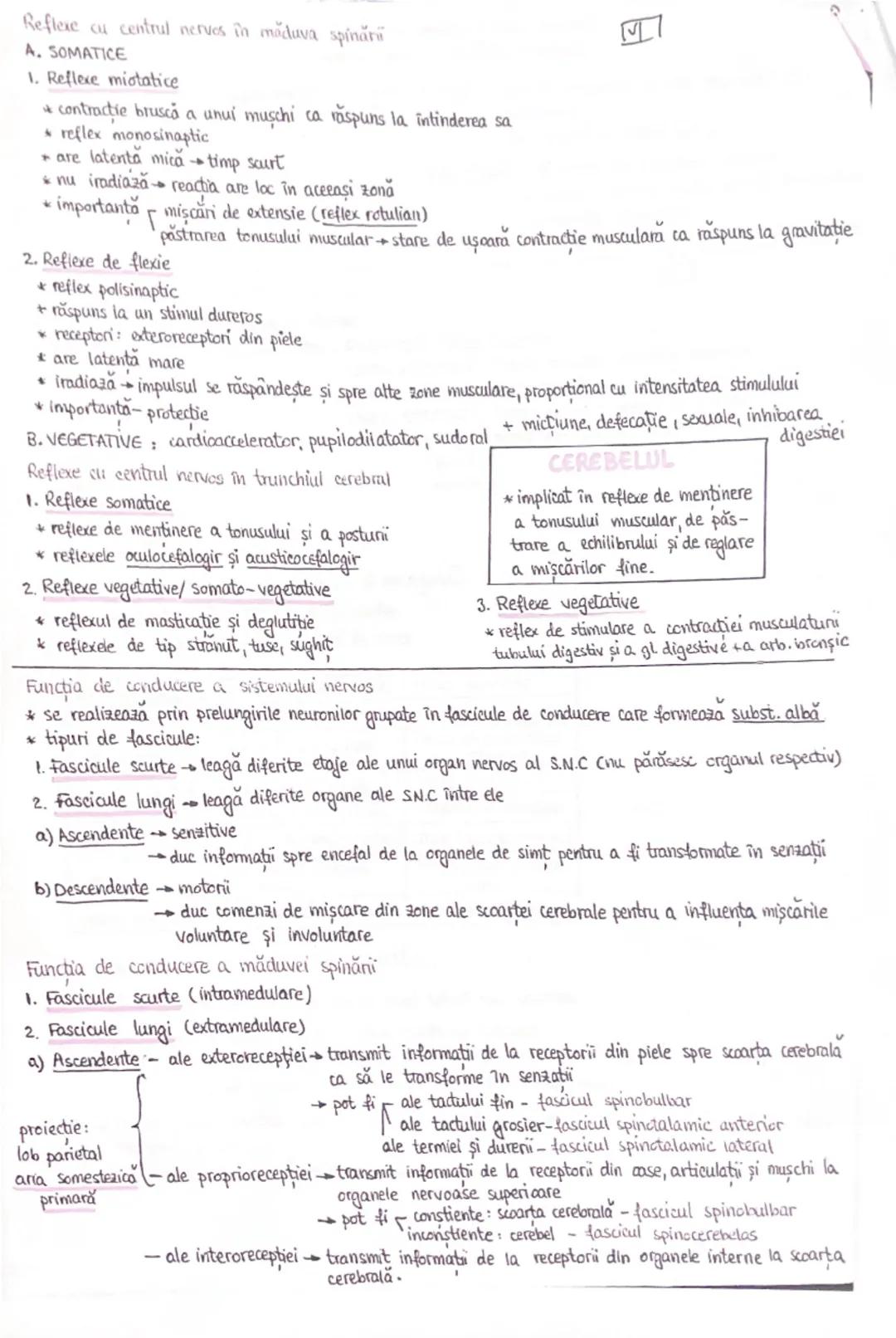 # SISTEMUL NERVOS
* Clasificare: 1) După localizarea organelor  S.N central (măduva spinării