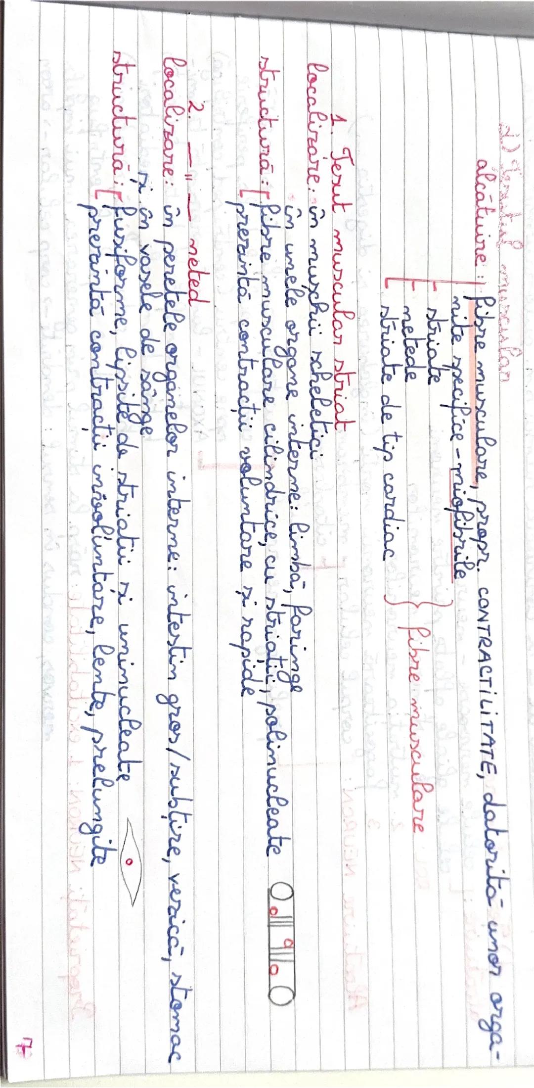 PARTEA 4 Capitol Tesuturi vegetale si animale