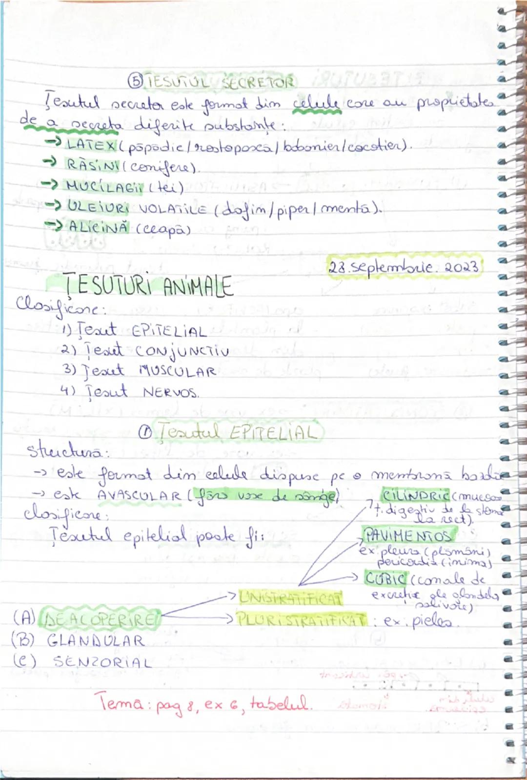 # 25. Septembrie 2023
# ȚESUTURI
(O grupe de celule)
• ȚESUTURI VEGETALE •
1) PRIMARE
2) SECUNDARE  } Țesuturi EMBRIONARE (A)
1) FUNDAME