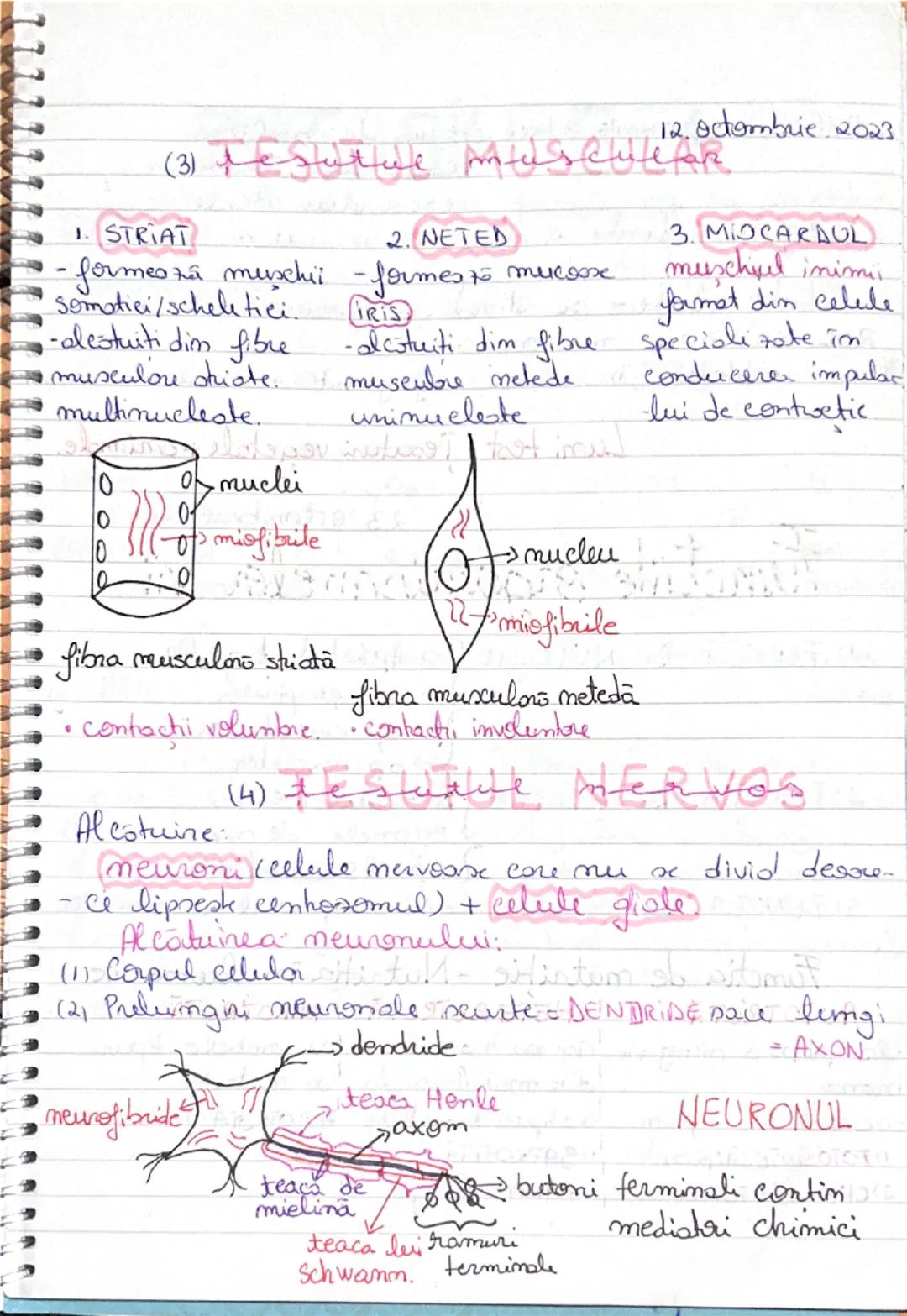 # 25. Septembrie 2023
# ȚESUTURI
(O grupe de celule)
• ȚESUTURI VEGETALE •
1) PRIMARE
2) SECUNDARE  } Țesuturi EMBRIONARE (A)
1) FUNDAME