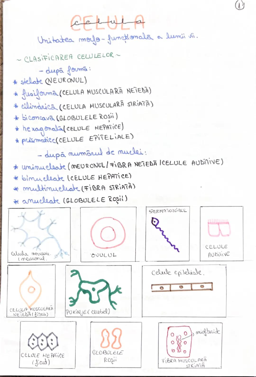 Celula ,Structura celulei ,Organite Citoplasmatife comune si specifice